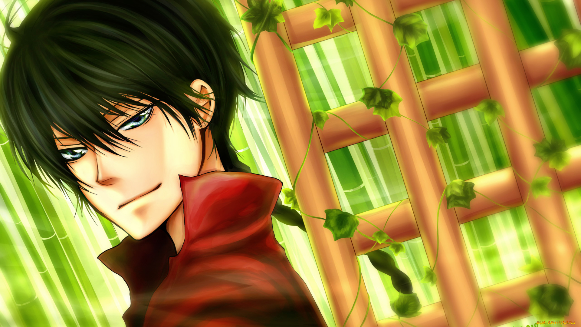 аниме, katekyo, hitman, reborn, беседка, листья, плющ, парень, аркоболено, учитель, киллер, реборн