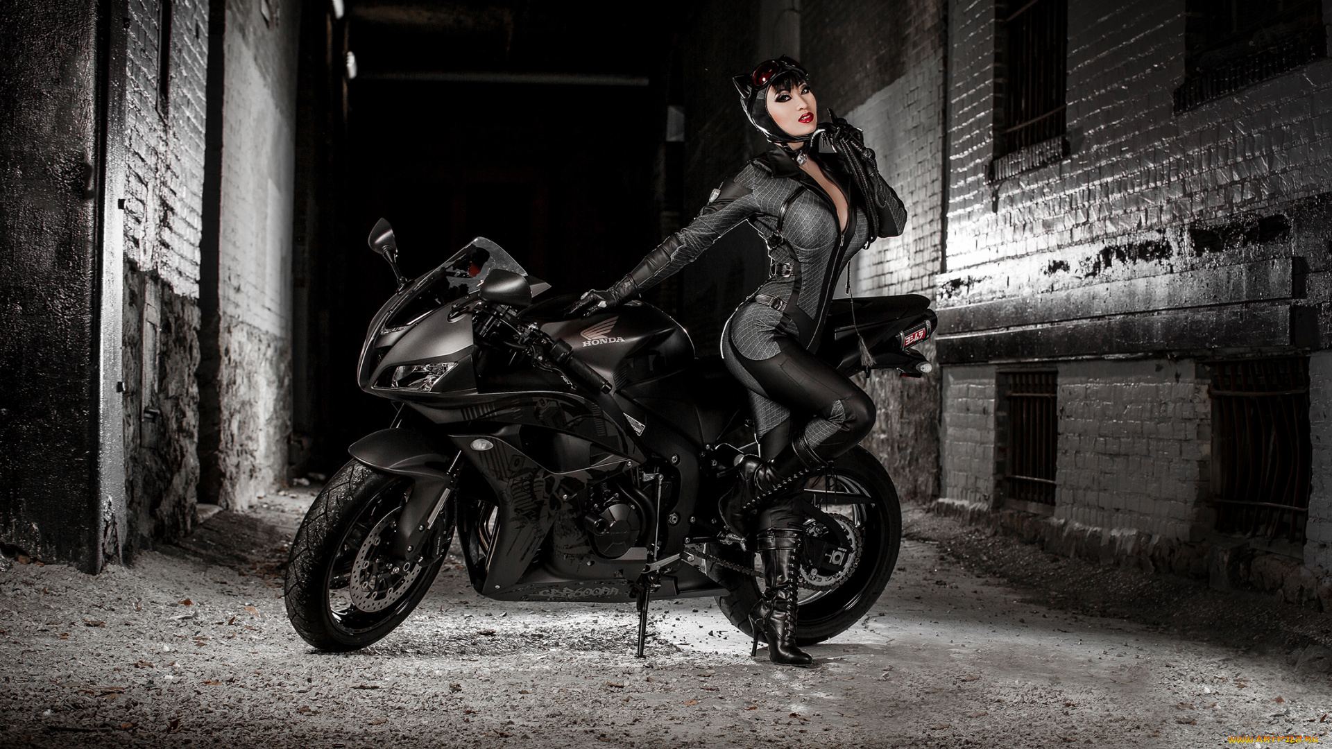 мотоциклы, мото, с, девушкой, honda, хонда, кошка, черный