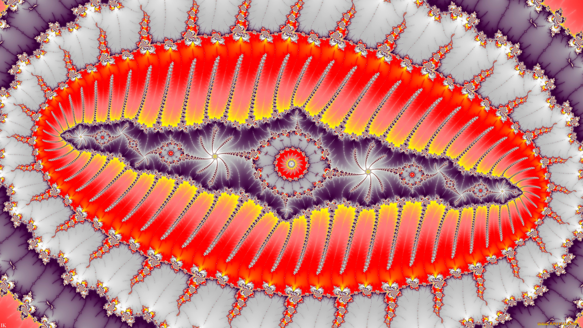 3д, графика, фракталы, , fractal, цвета, узор, фон