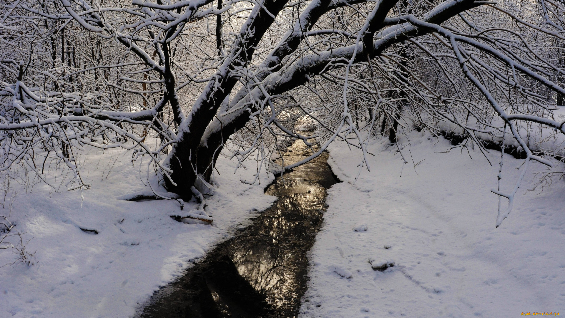 природа, реки, озера, лес, река, снег