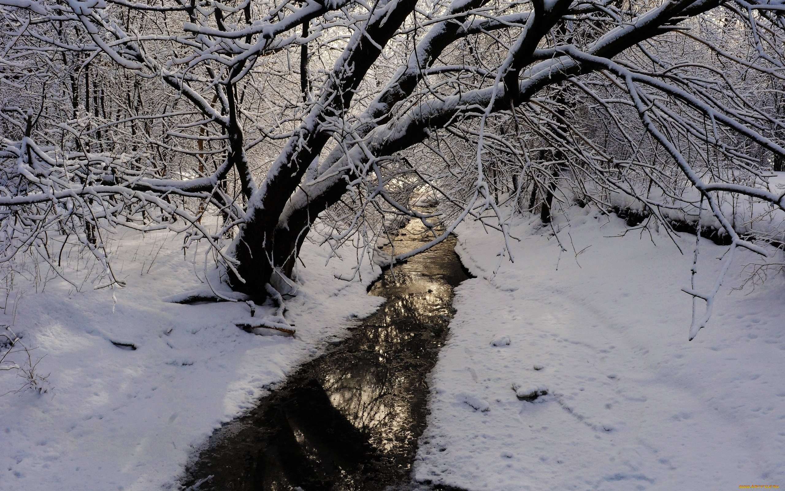 природа, реки, озера, лес, река, снег