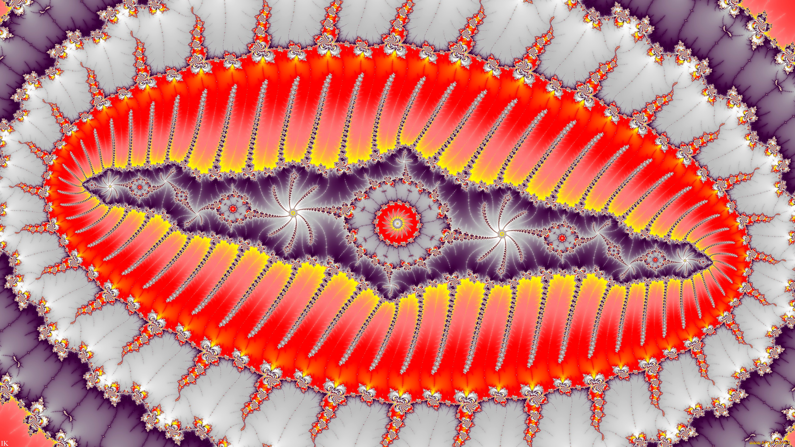 3д, графика, фракталы, , fractal, цвета, узор, фон