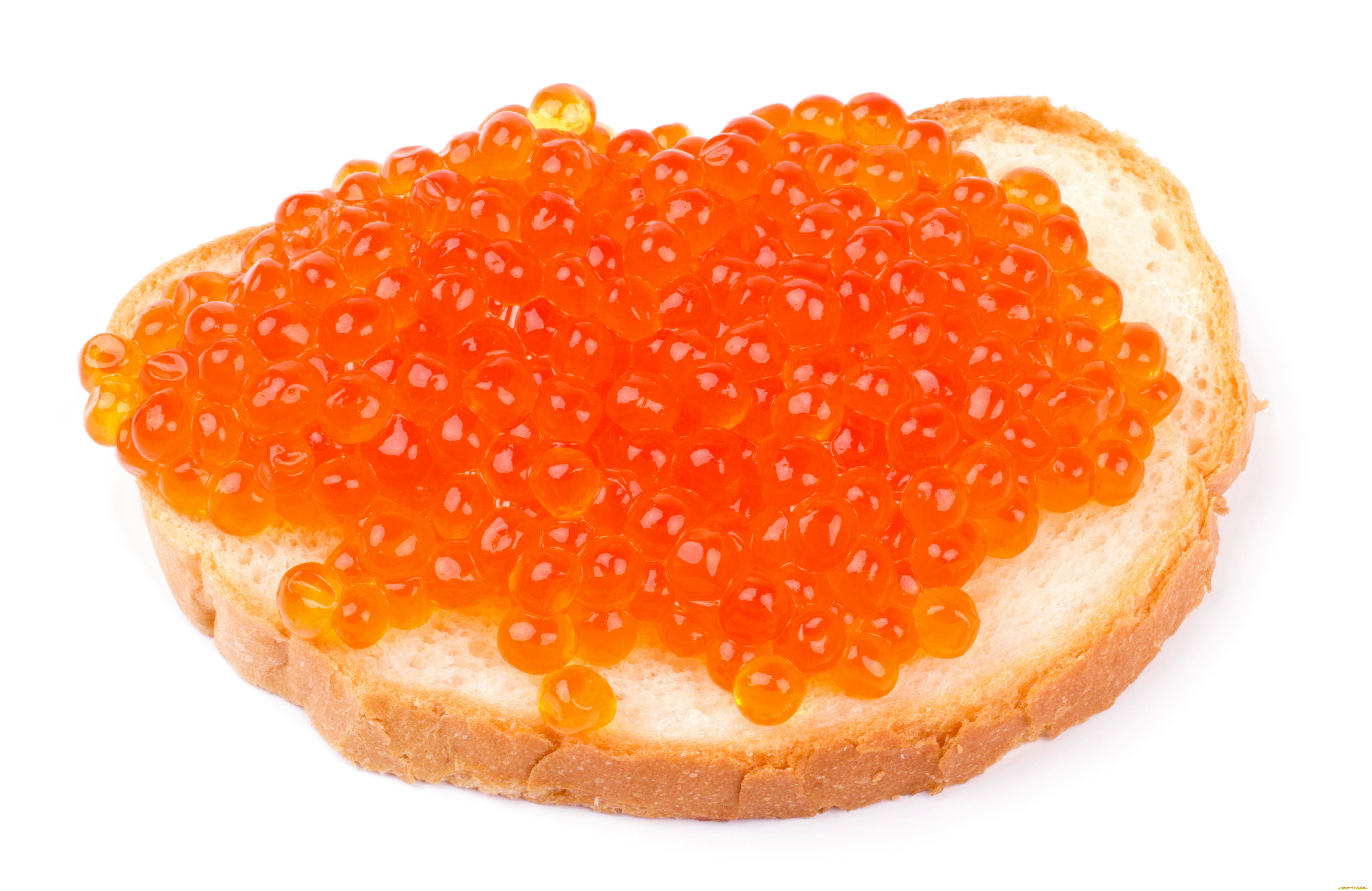 еда, бутерброды, , гамбургеры, , канапе, бутерброд, икра, рыба