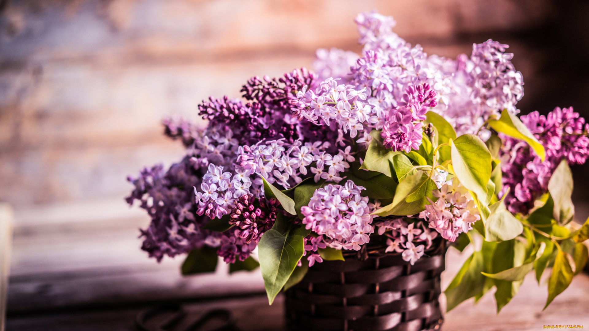 цветы, сирень, корзина, ветки, доски