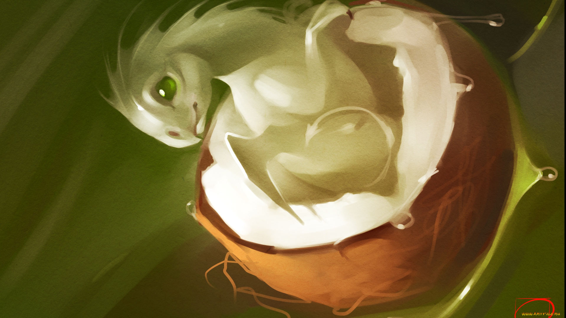 gaudibuendia, фэнтези, драконы, дракон, кокос