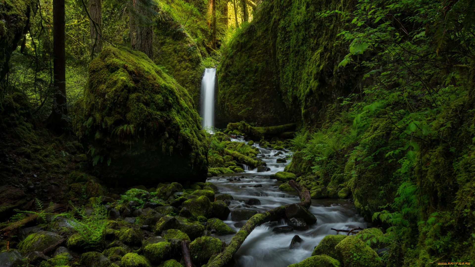 природа, водопады, зелень, лес, водопад, камни, река