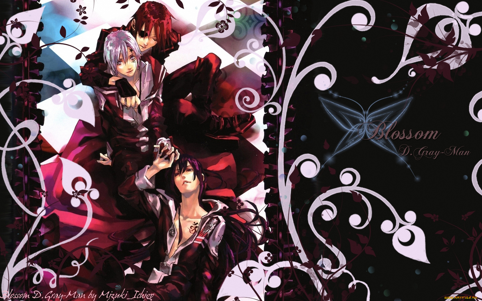 аниме, , gray-man, парень, walker, allen, lavi, kanda, воин, экзорцист