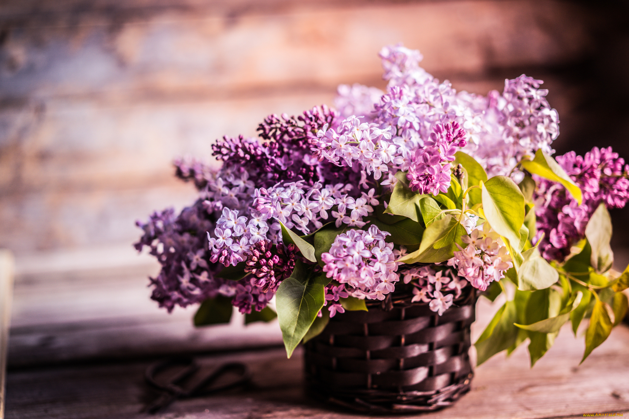 цветы, сирень, корзина, ветки, доски