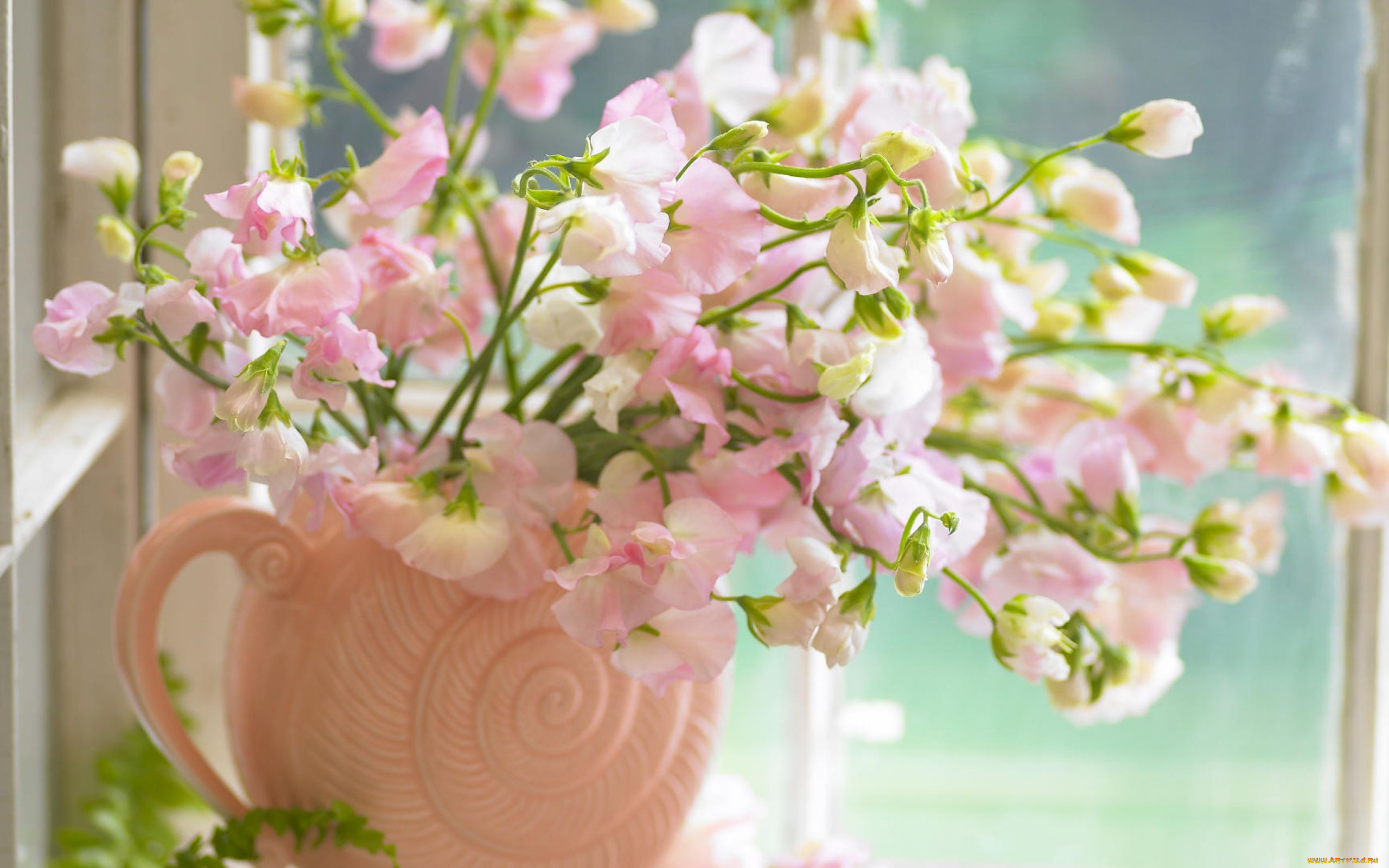 цветы, душистый, горошек, розовые, окно, кувшин, букет