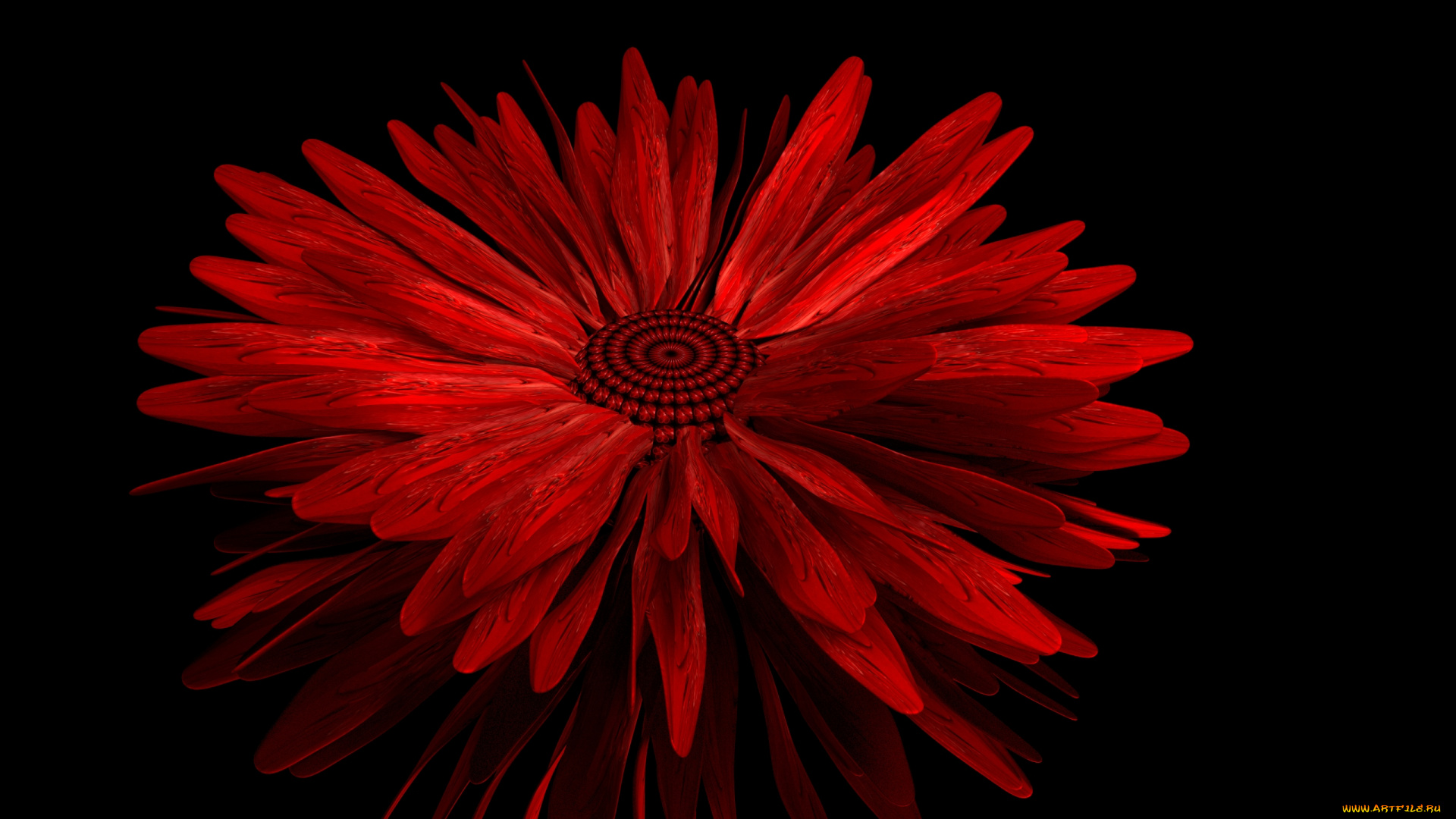 3д, графика, цветы, , flowers, фон, лепестки