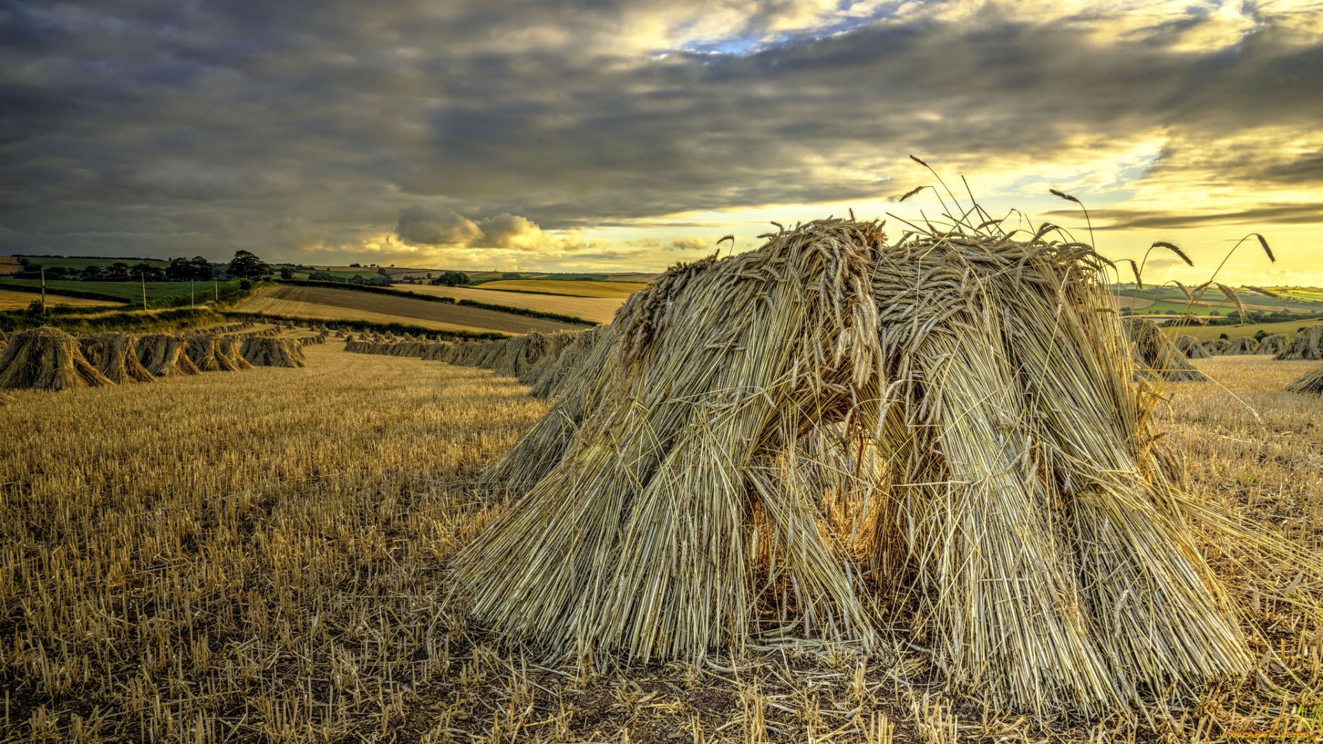 природа, поля, стог