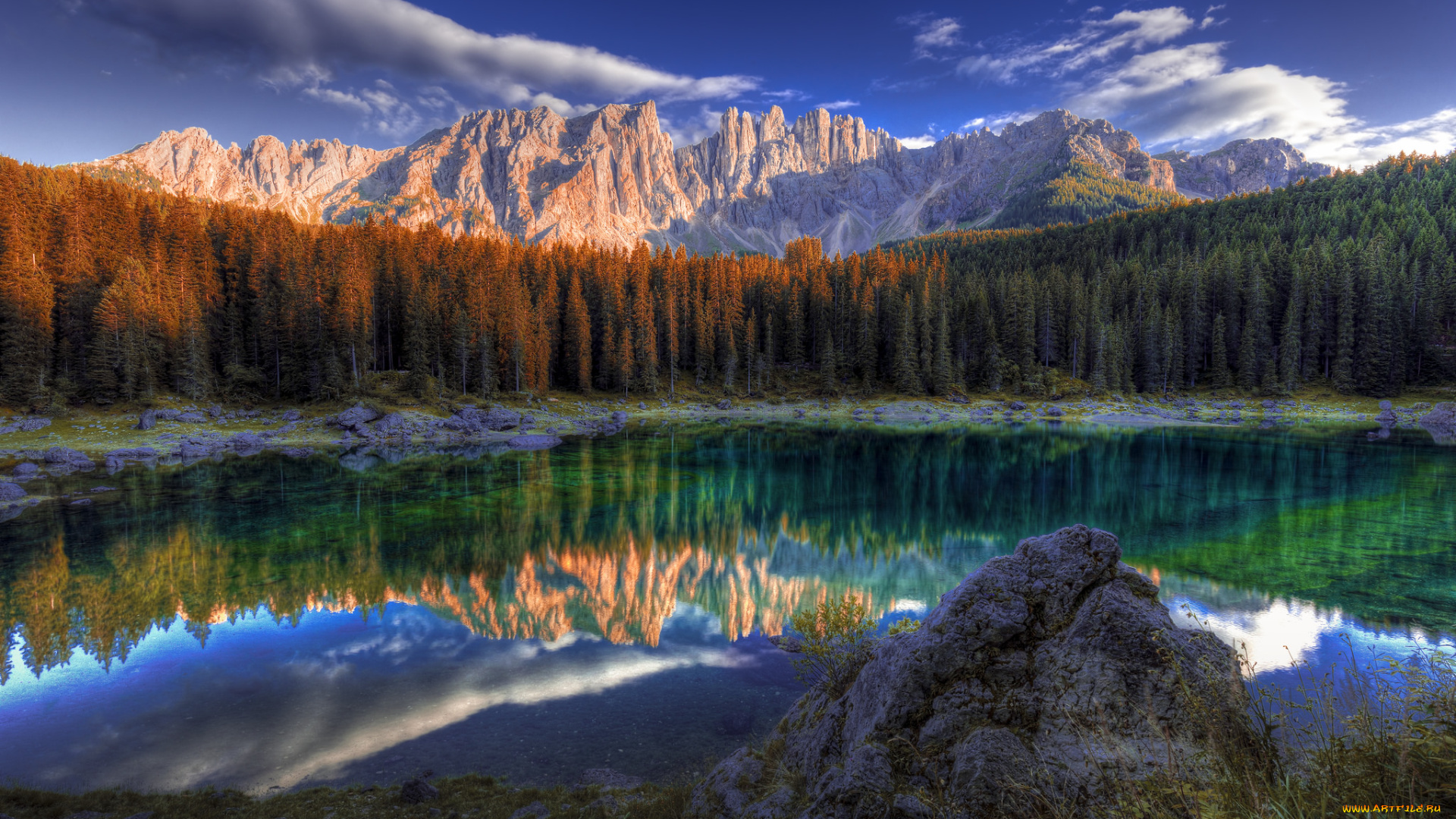 природа, реки, озера, река, лес