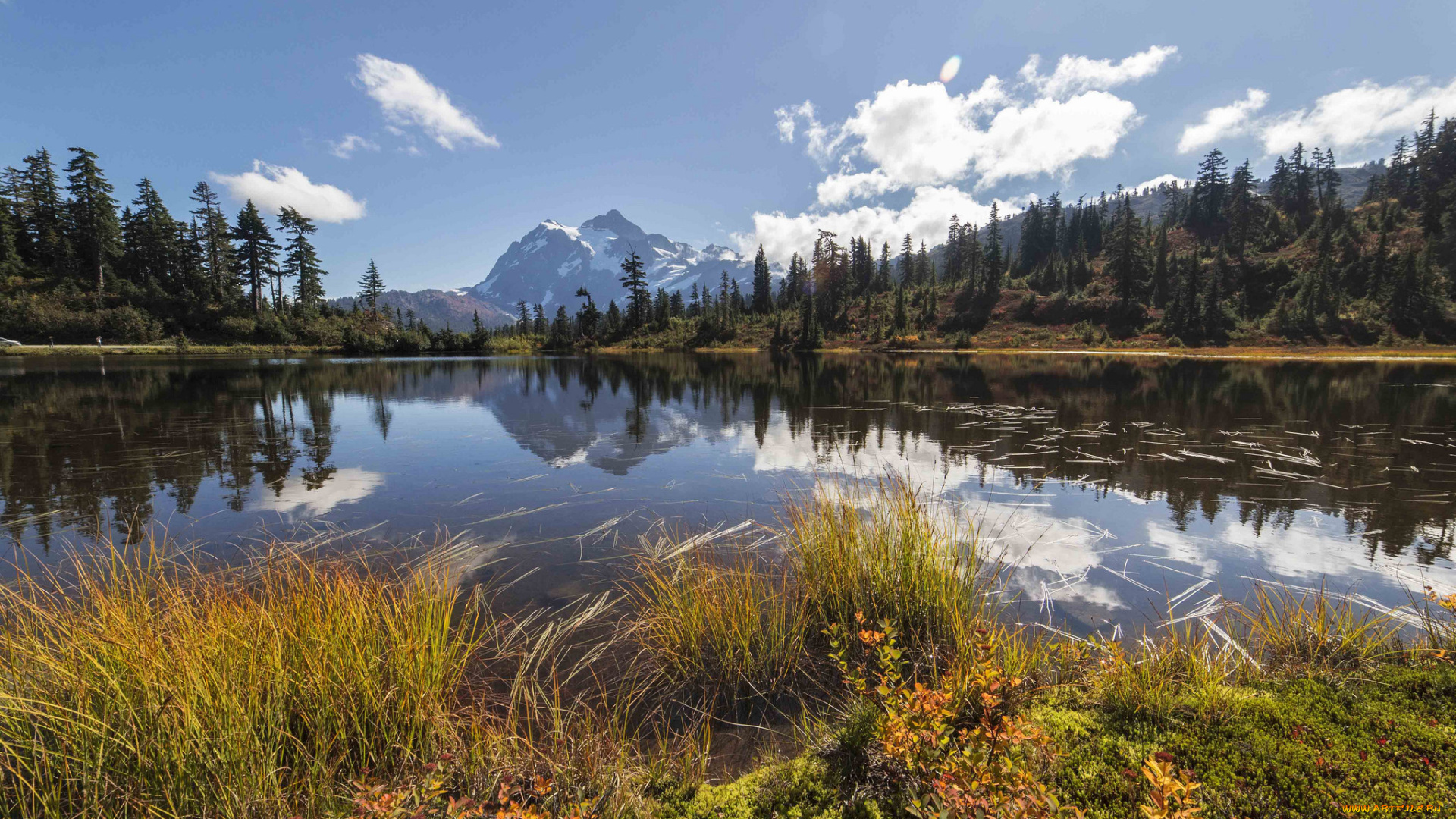 природа, реки, озера, река, лес