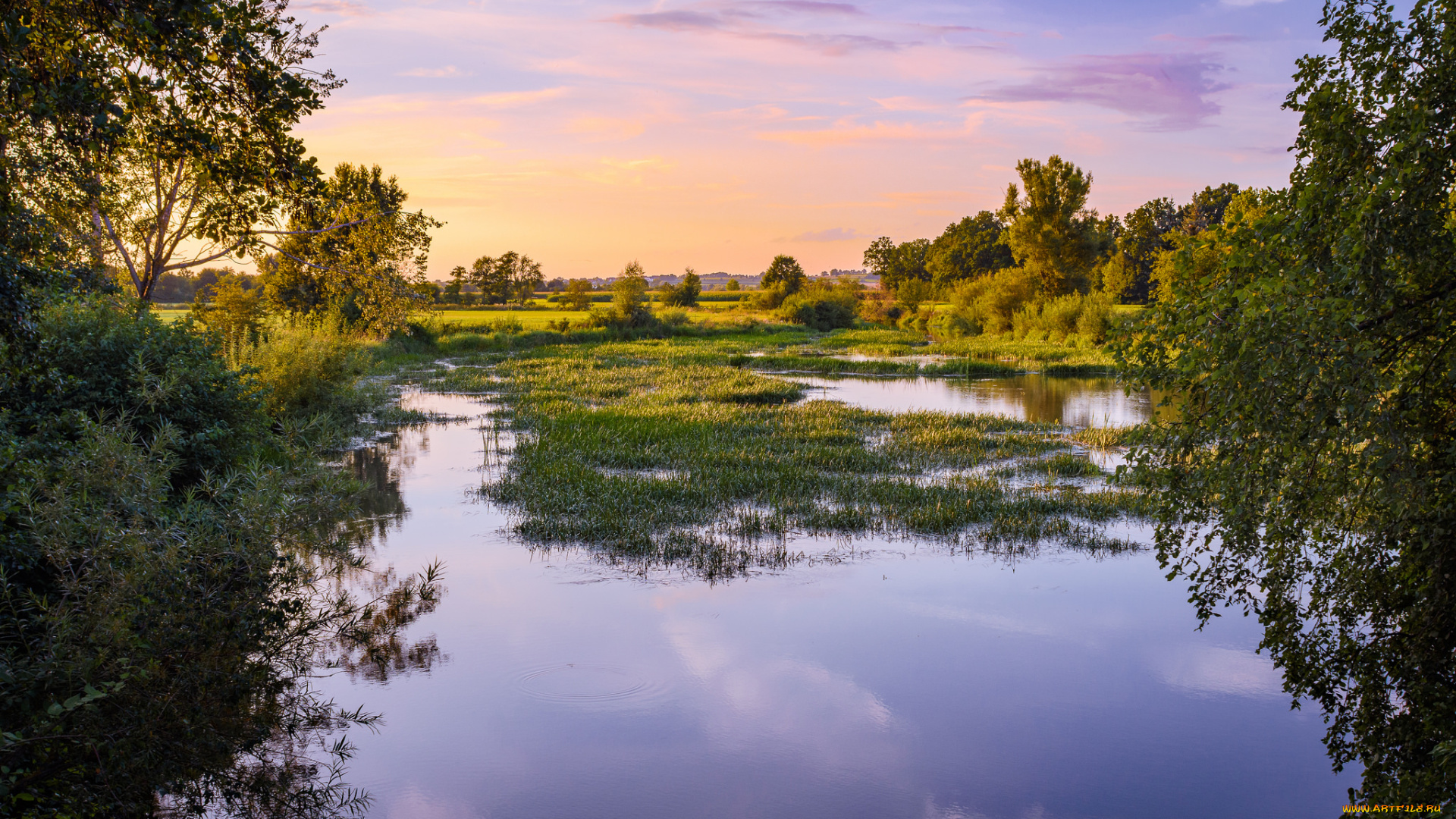 природа, реки, озера, река, лес