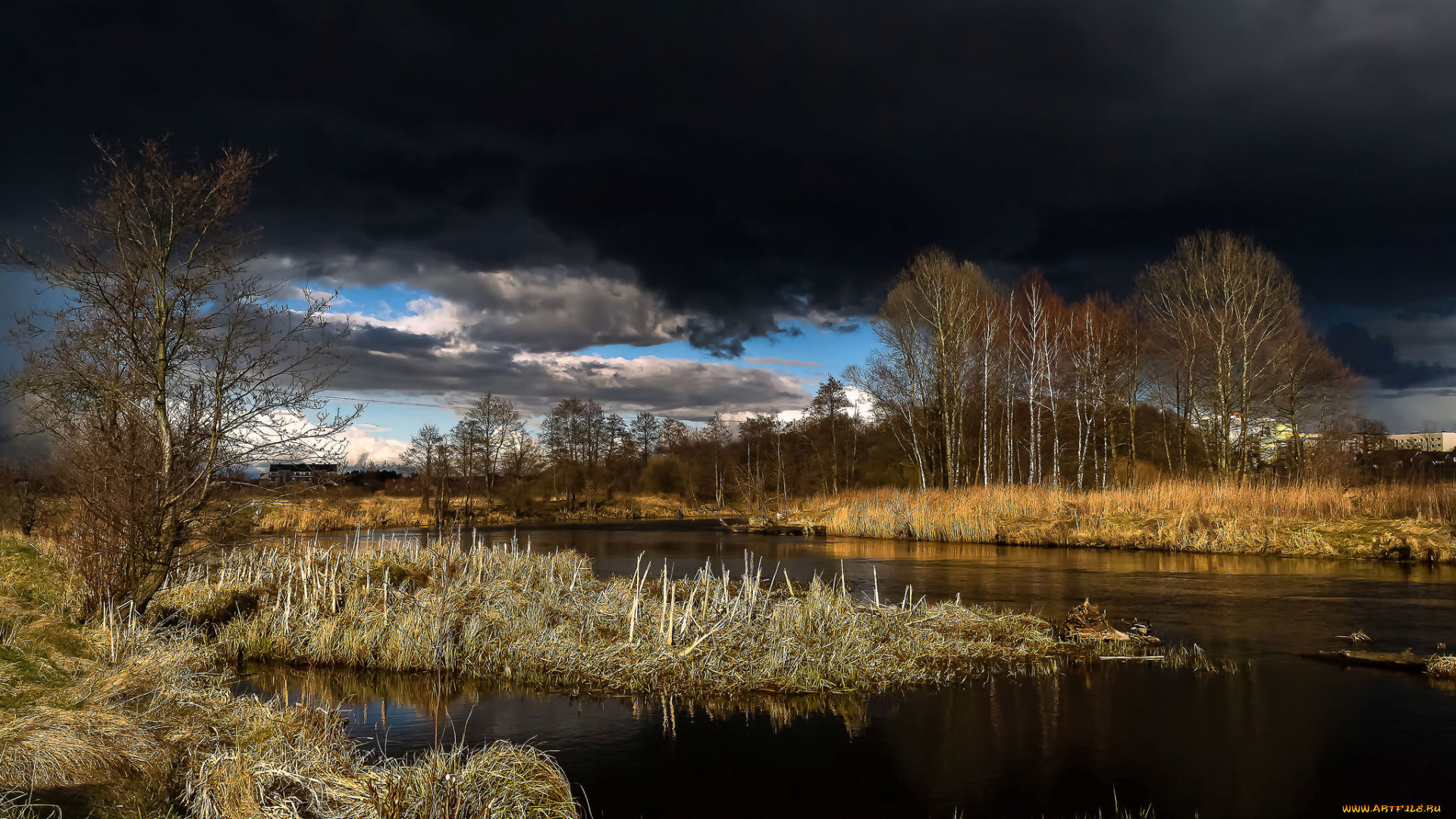 природа, реки, озера, река, лес