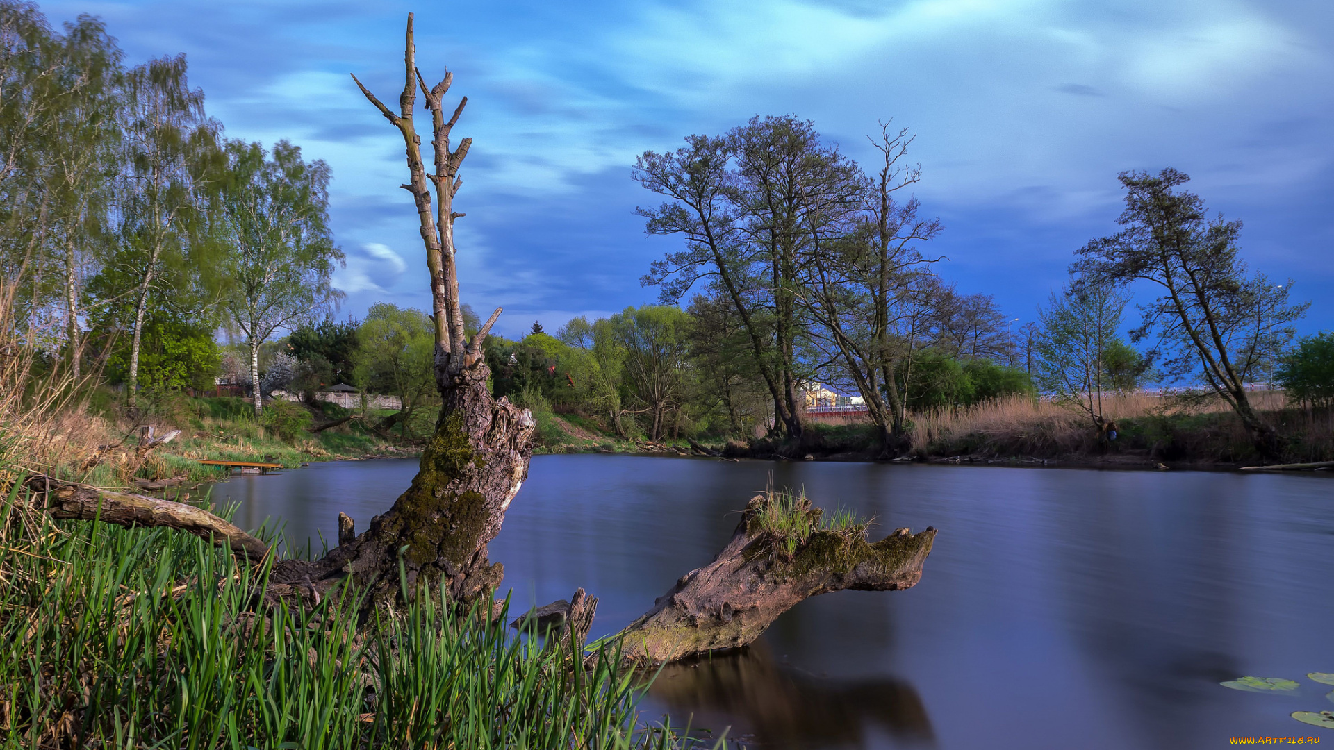 природа, реки, озера, река, лес