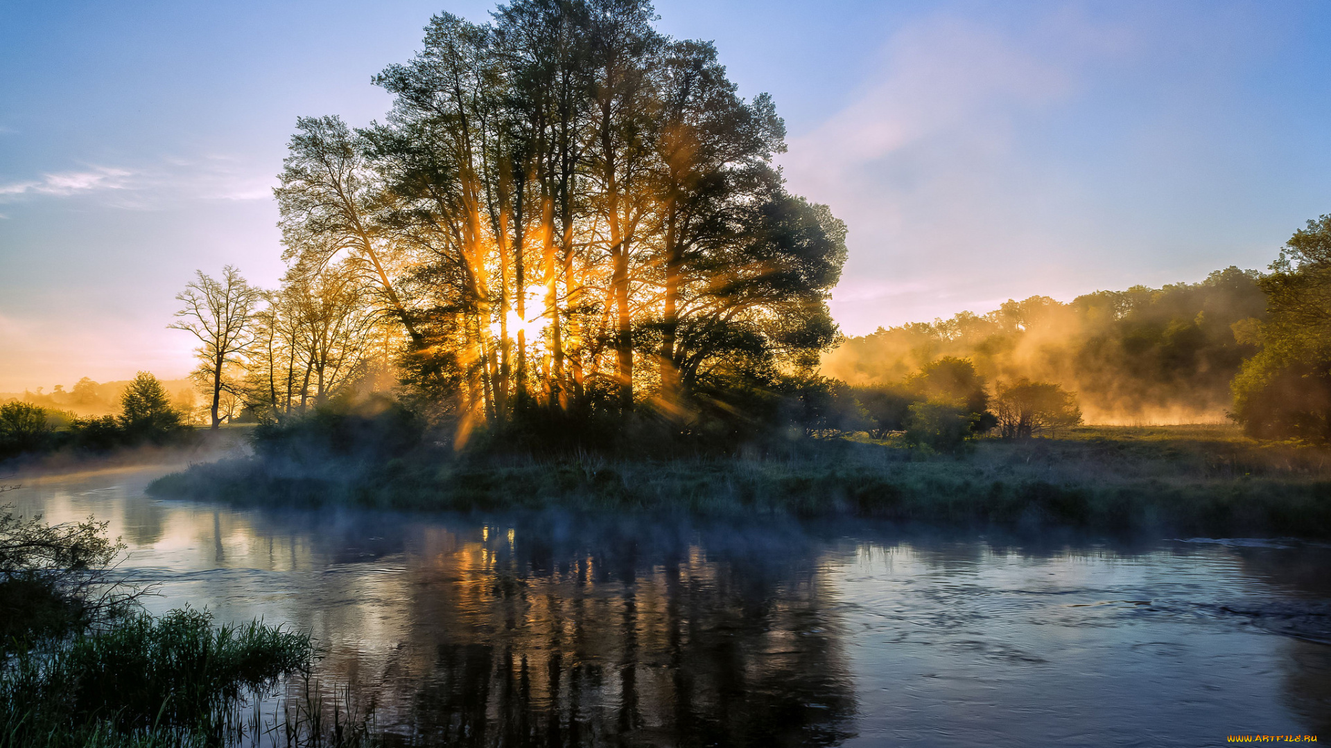 природа, реки, озера, река, лес