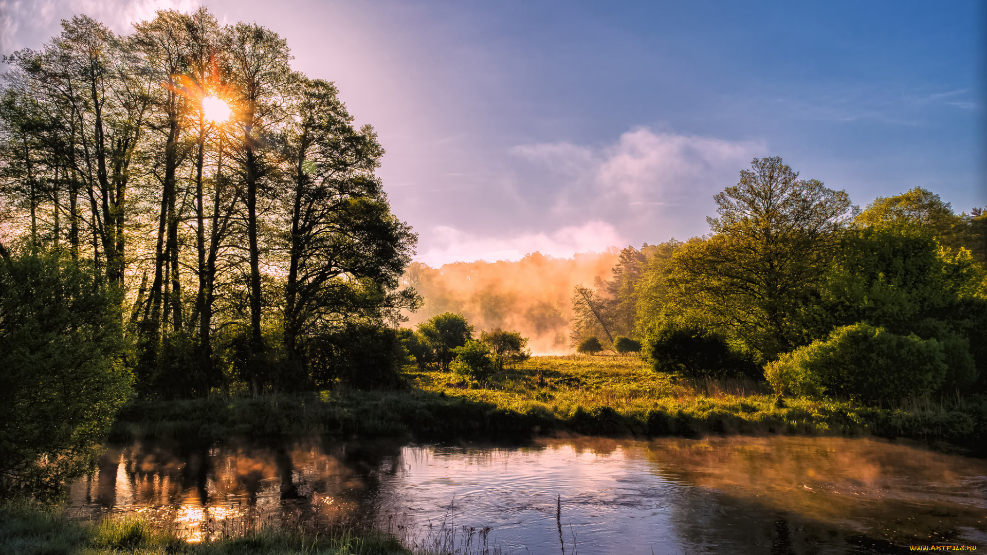 природа, реки, озера, река, лес