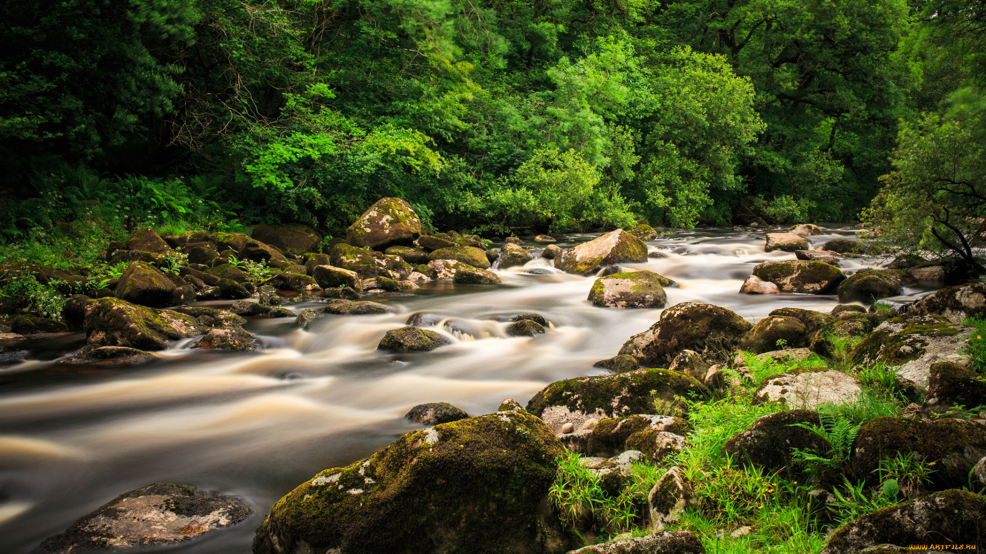 природа, реки, озера, река, лес