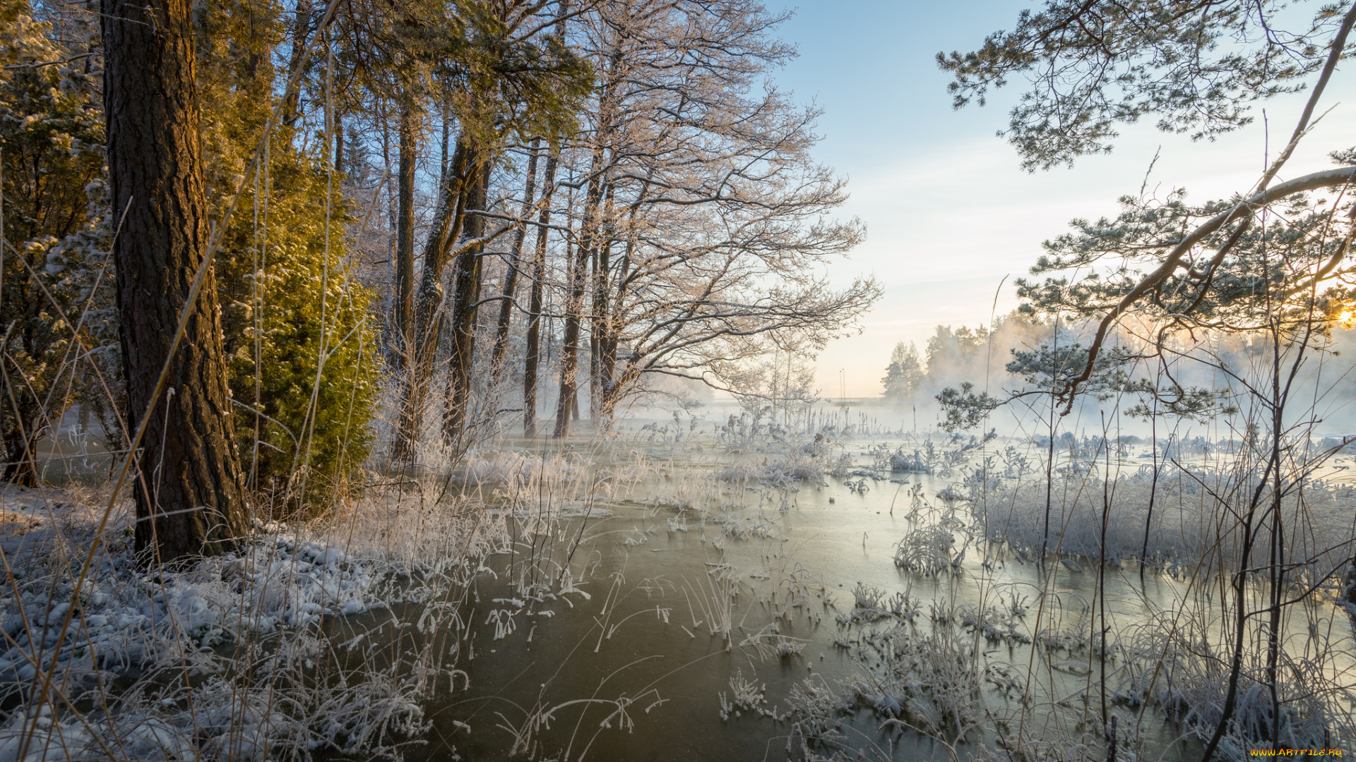 природа, реки, озера, река, лес