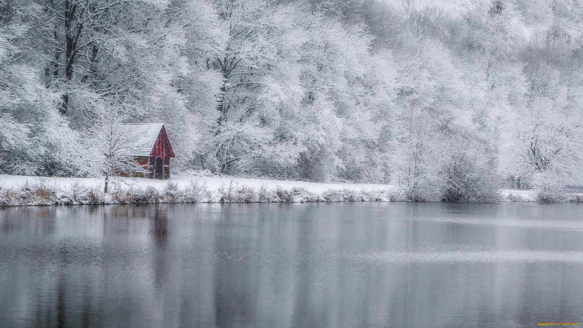природа, зима, лес, дом, озеро