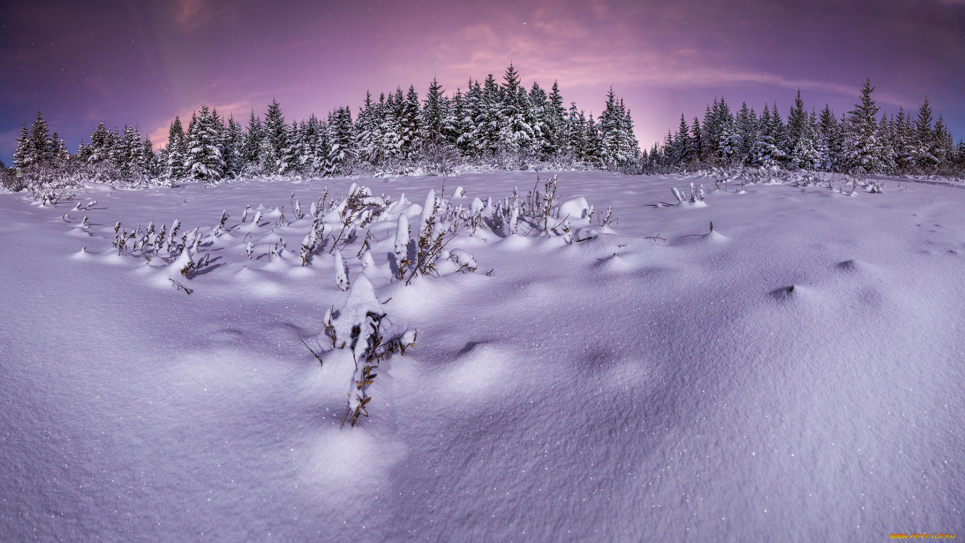 природа, зима, снег