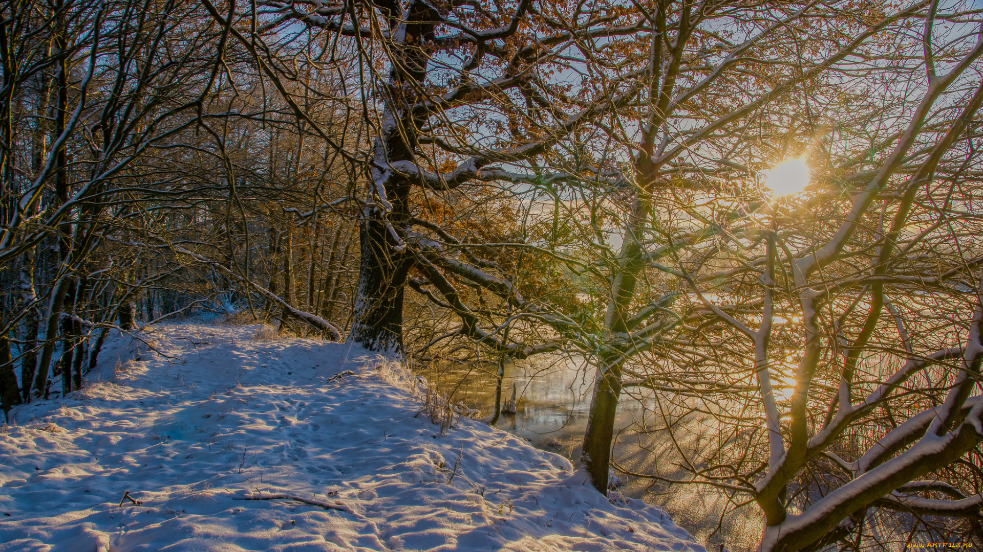 природа, зима, снег