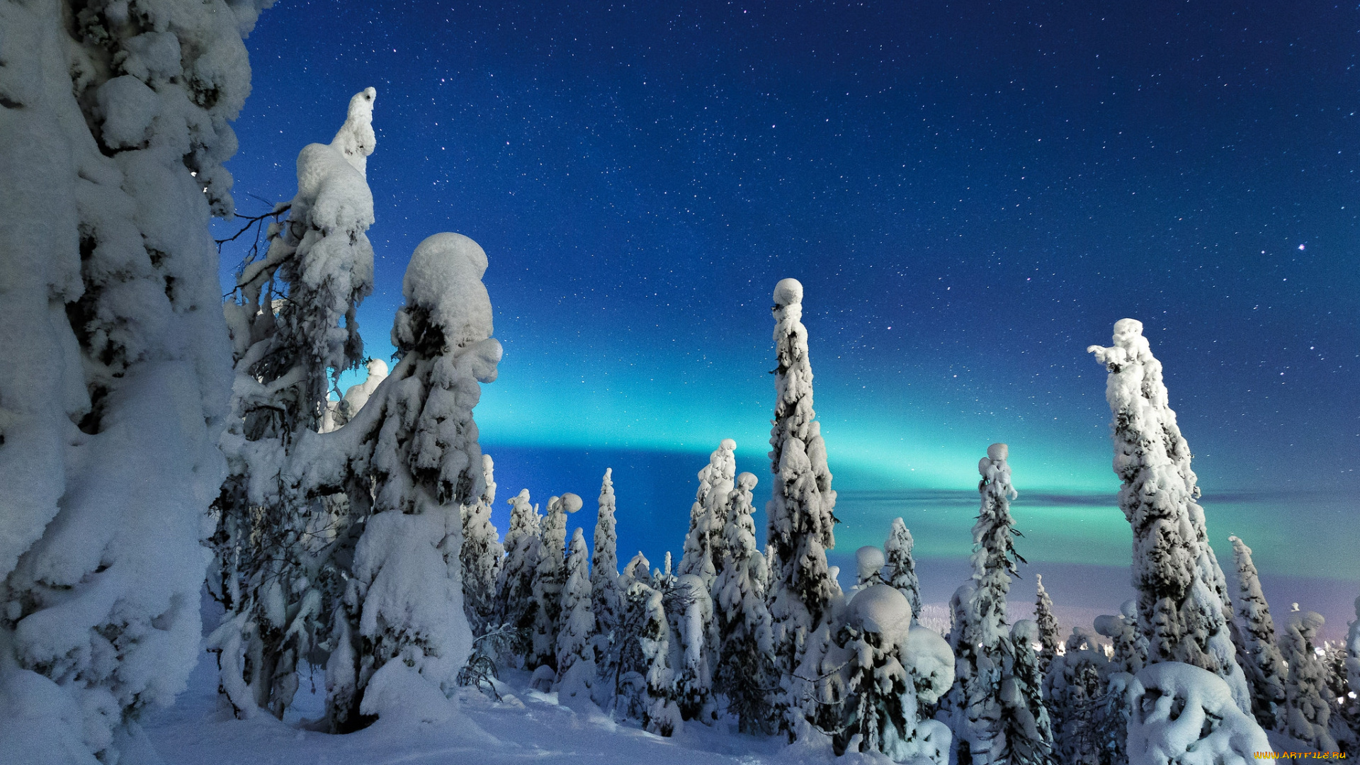 природа, зима, снег