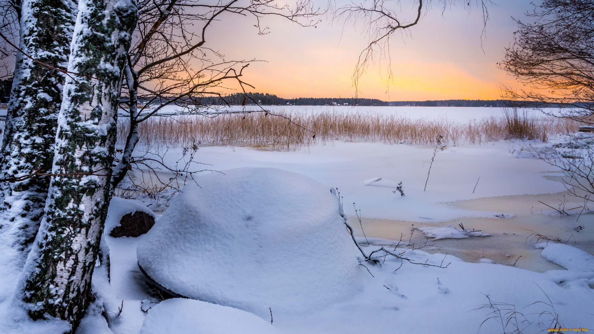 природа, зима, снег