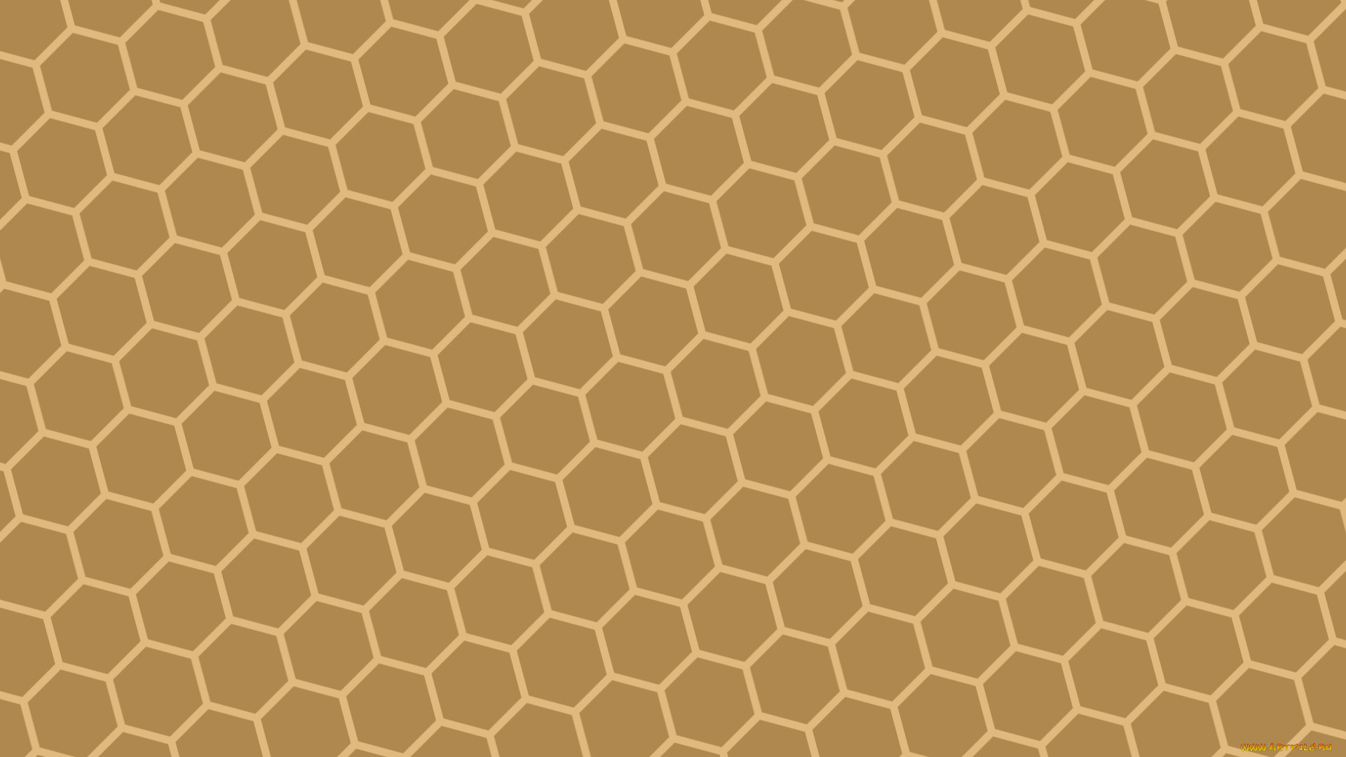 векторная, графика, графика, , graphics, цвета, фон, узор