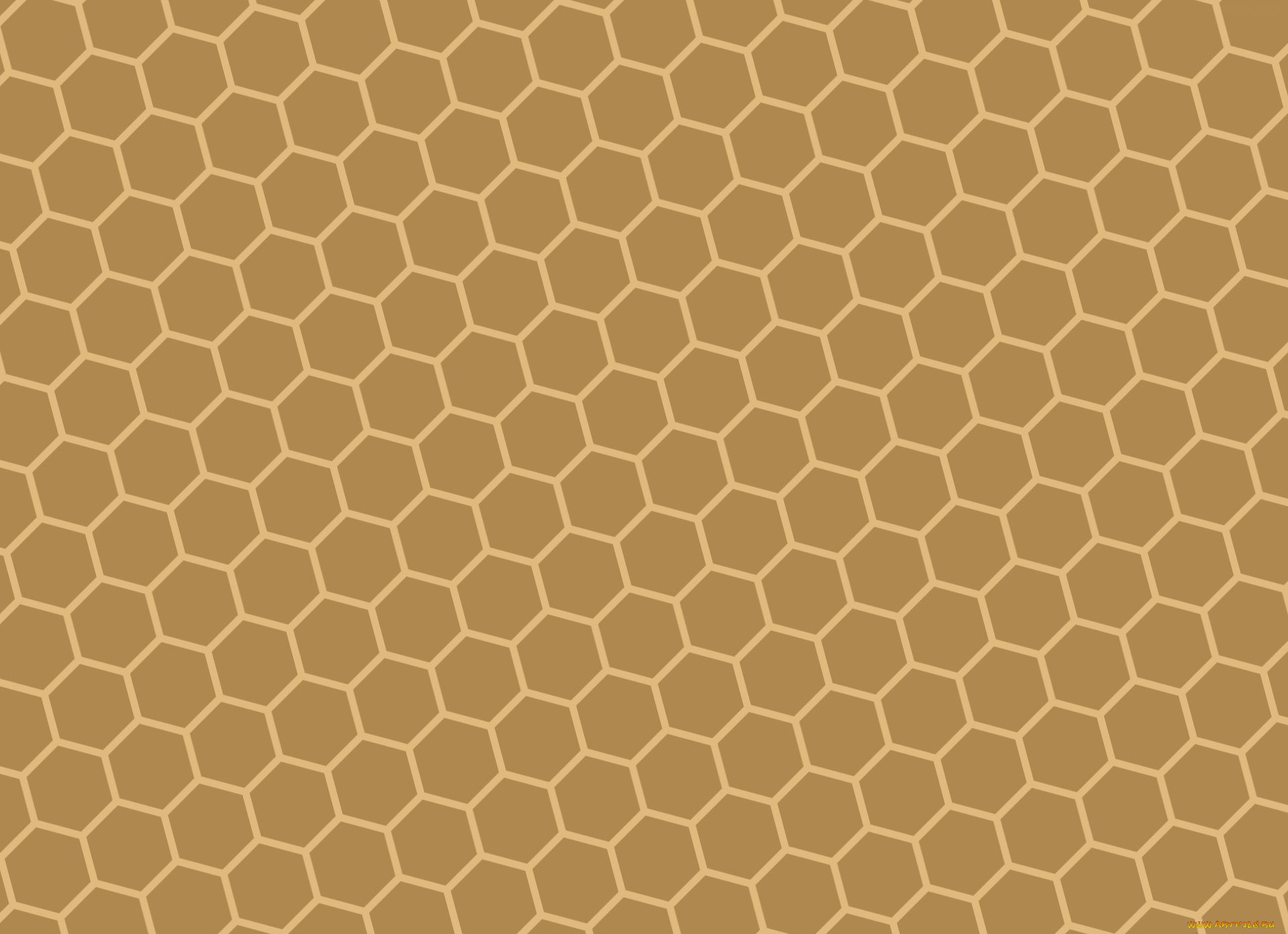 векторная, графика, графика, , graphics, цвета, фон, узор