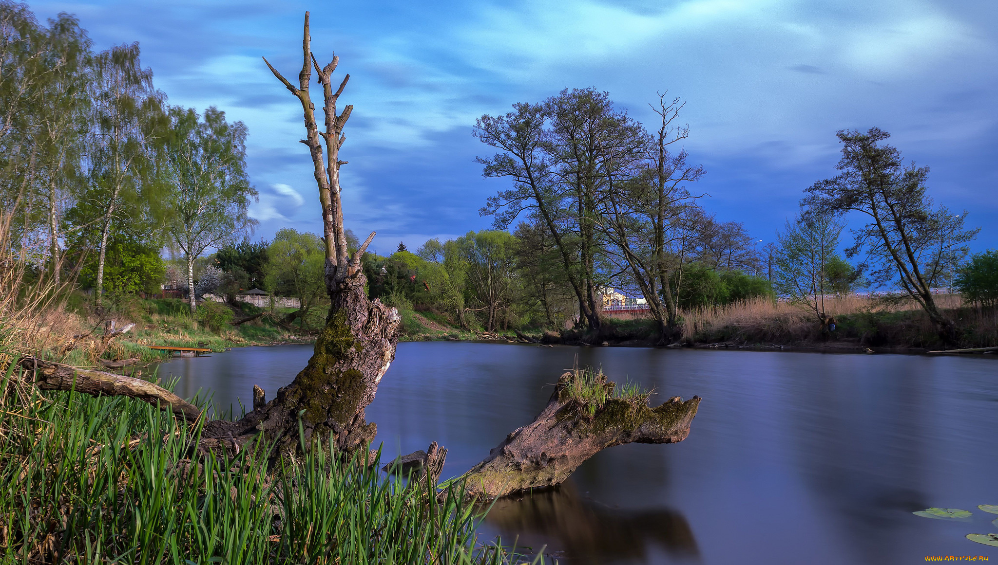 природа, реки, озера, река, лес