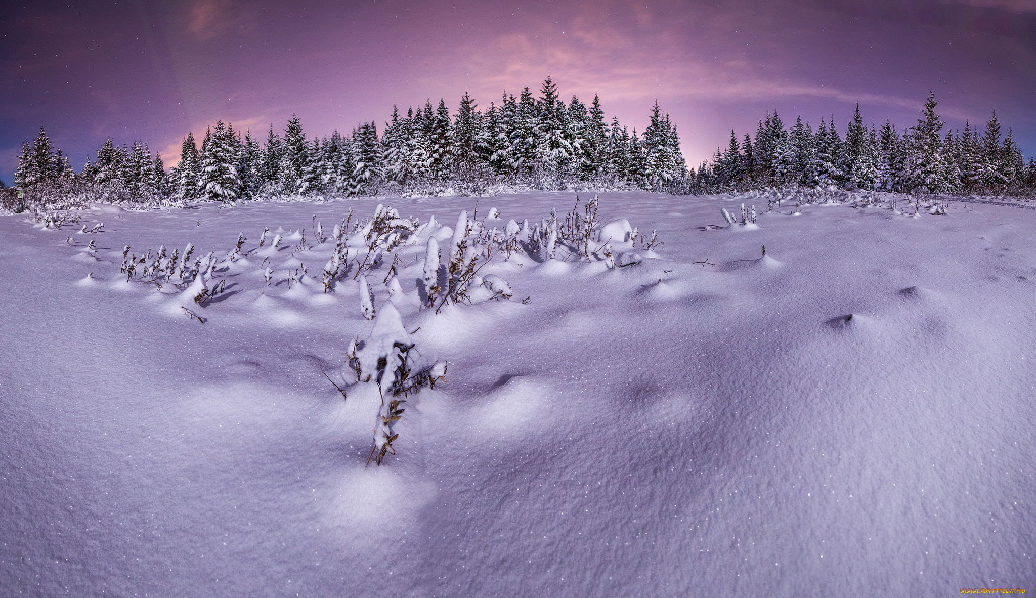 природа, зима, снег