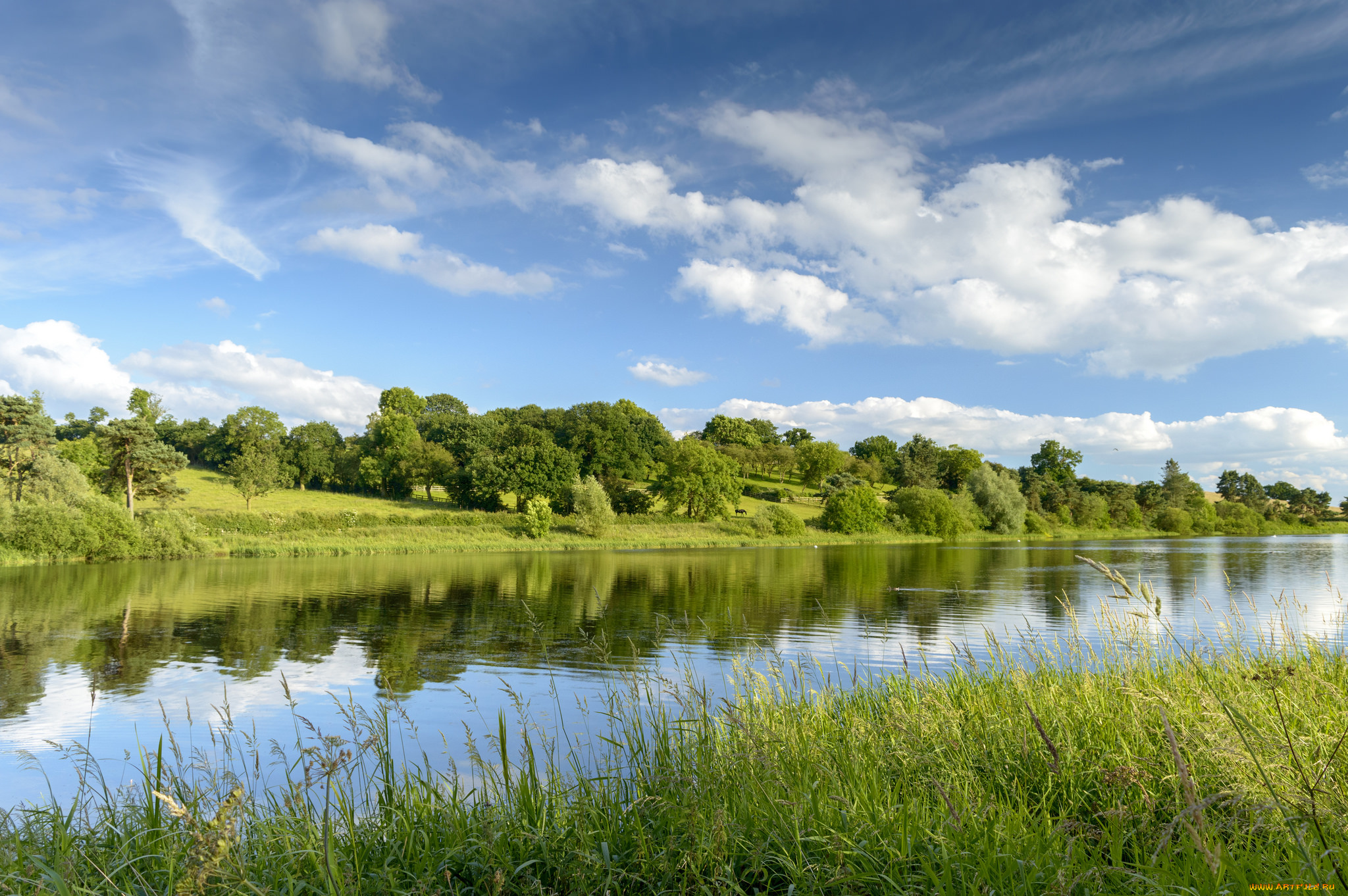 природа, реки, озера, река, лес