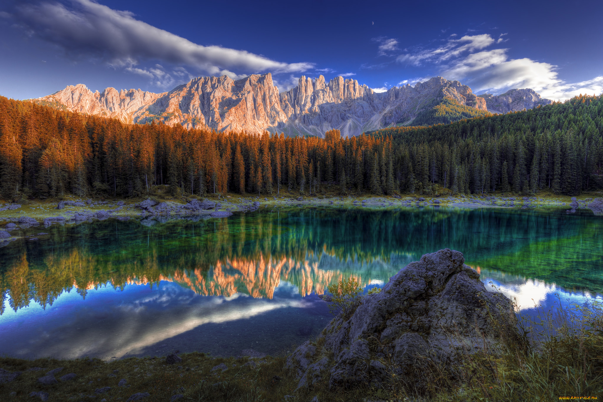 природа, реки, озера, река, лес