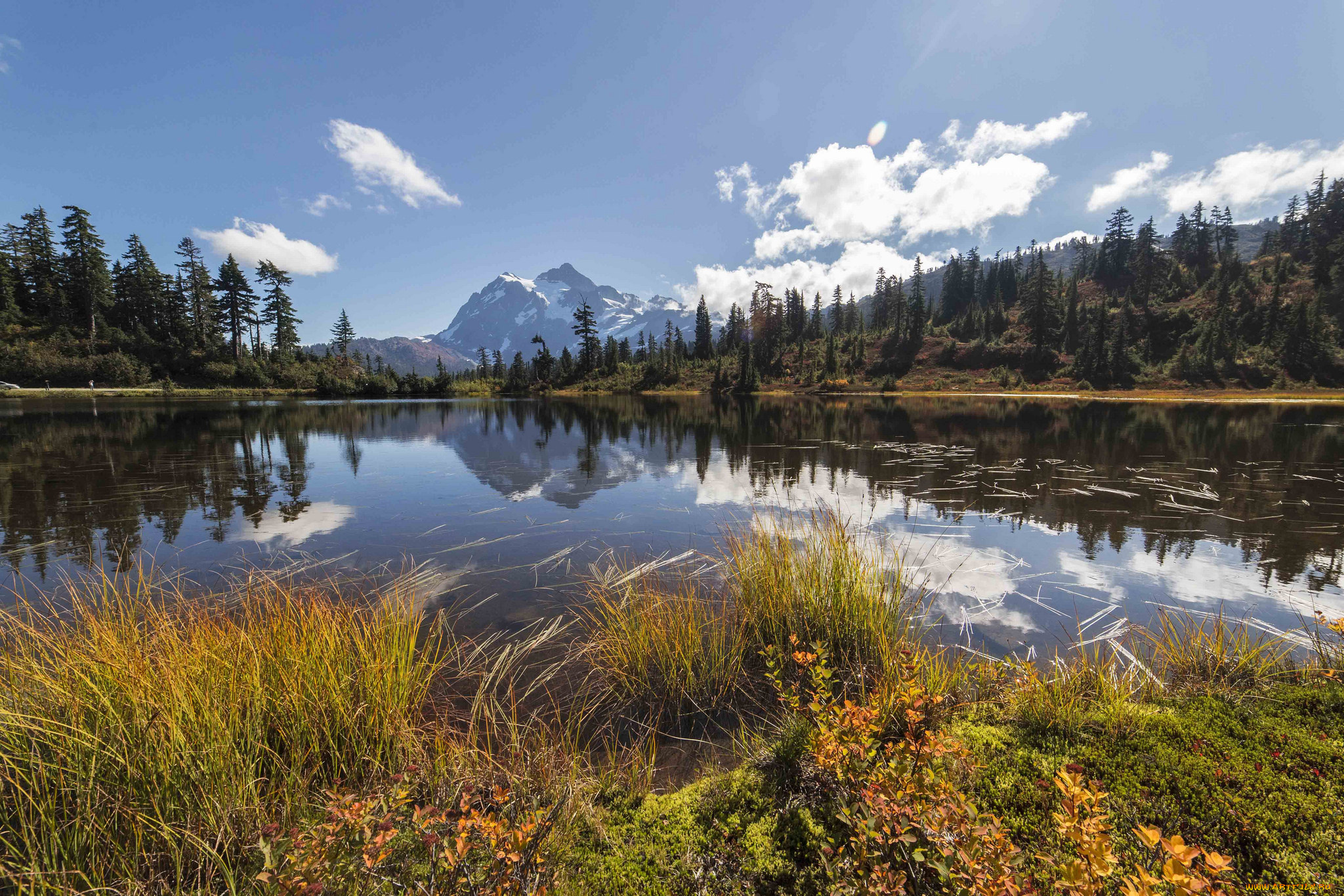 природа, реки, озера, река, лес