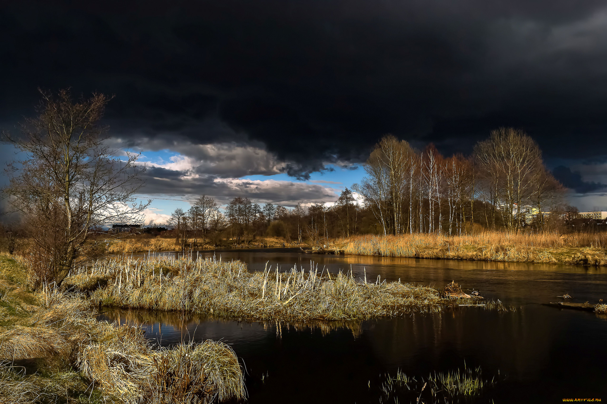 природа, реки, озера, река, лес