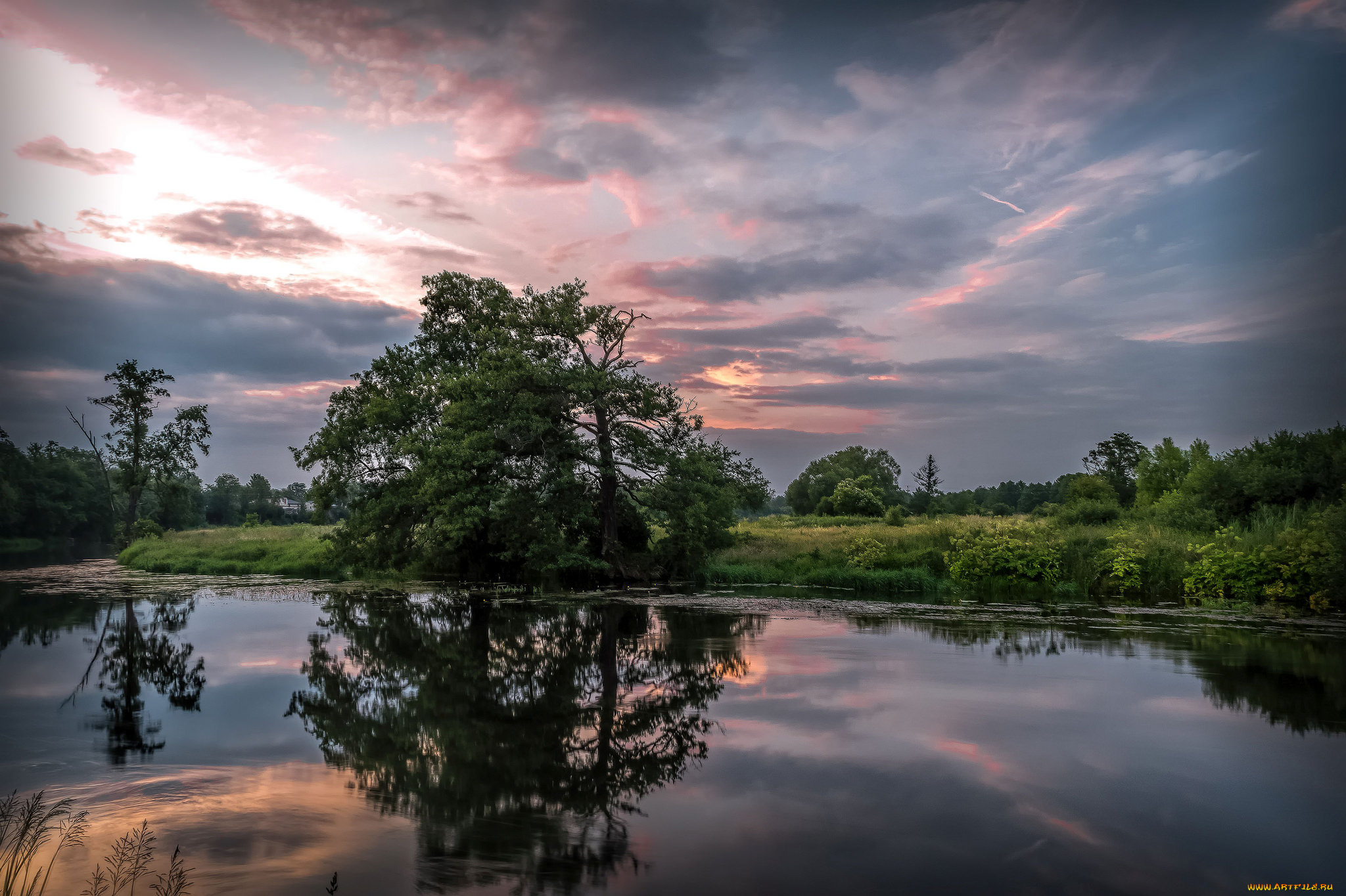 природа, реки, озера, река, лес