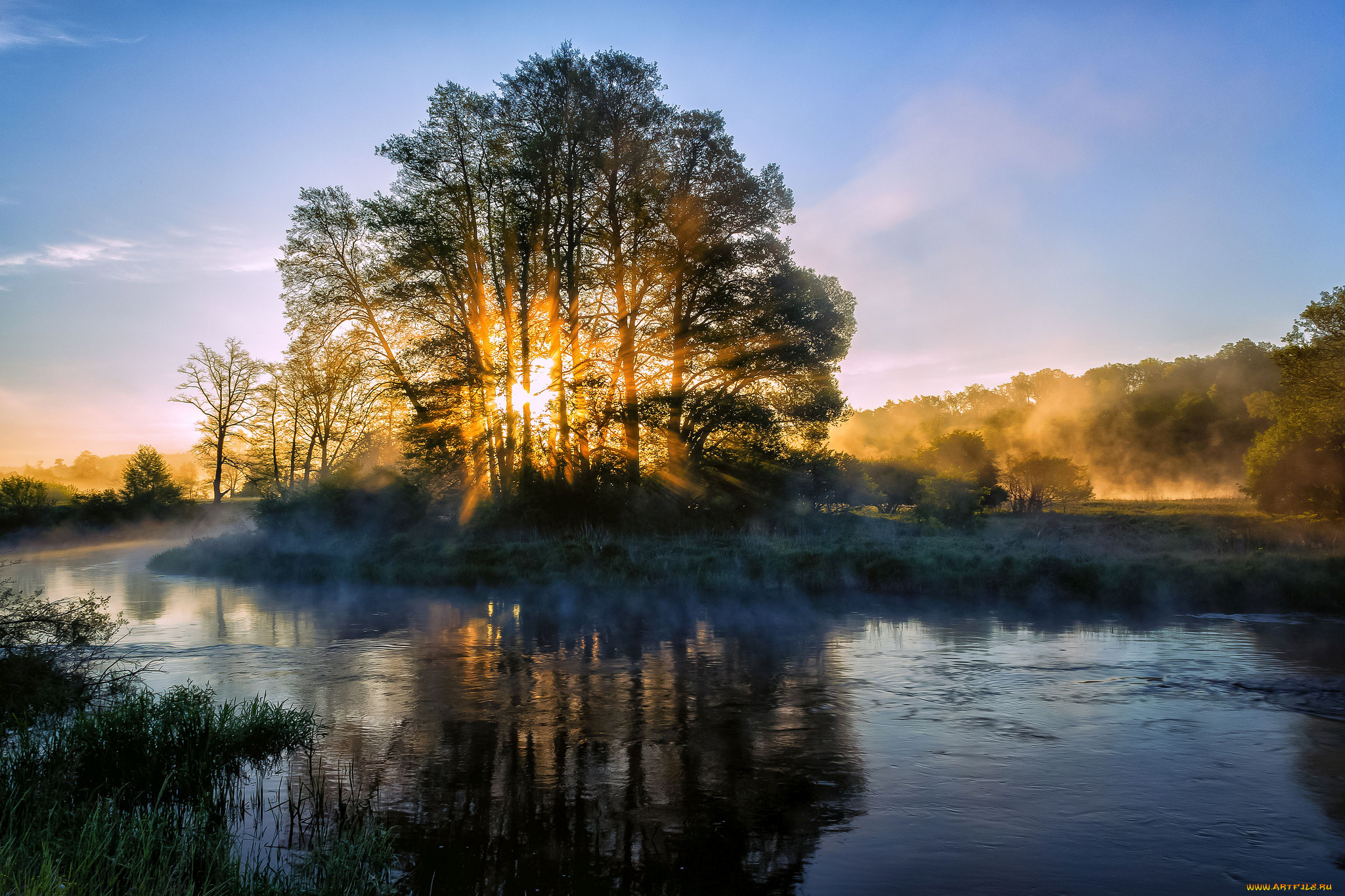 природа, реки, озера, река, лес