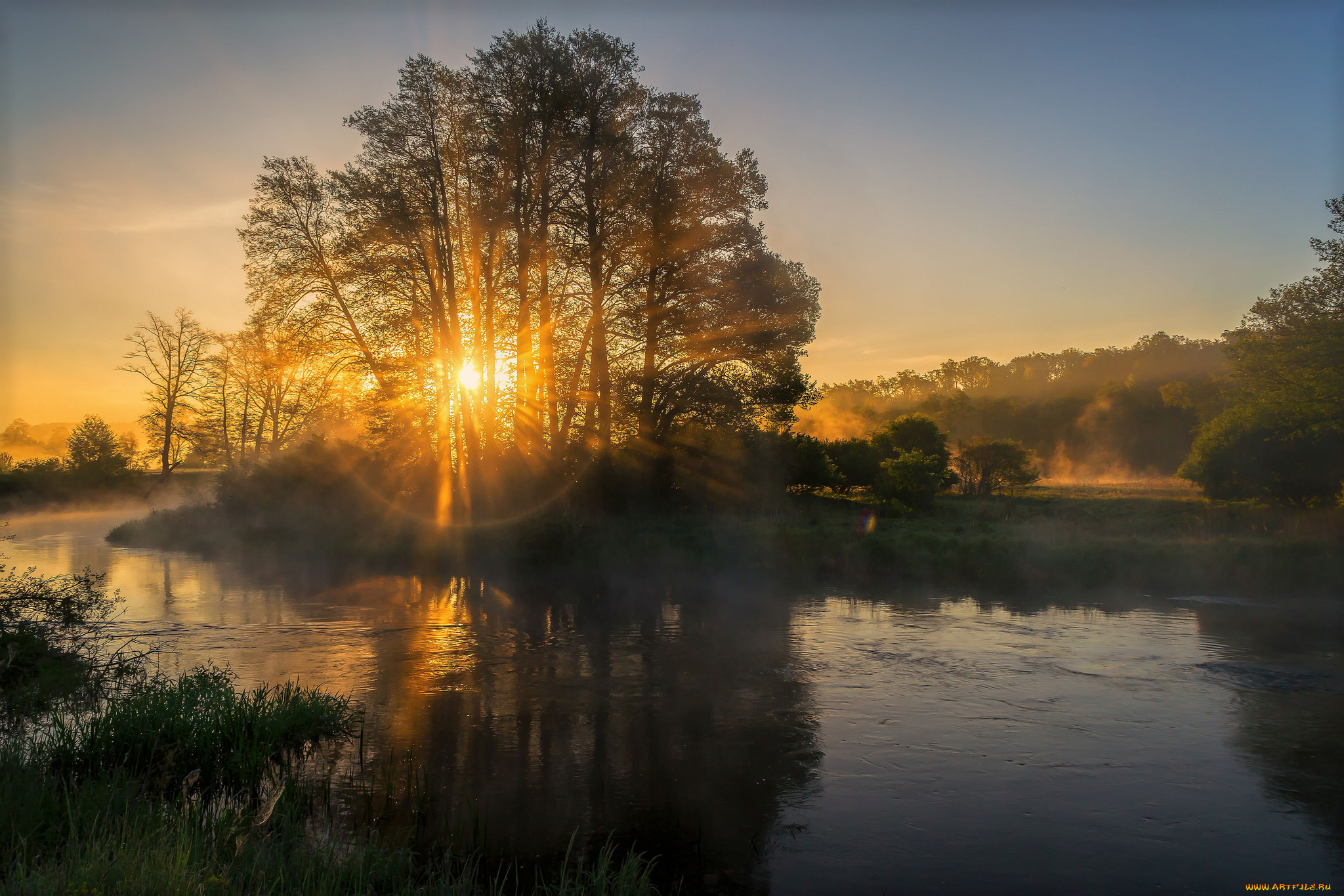 природа, реки, озера, река, лес