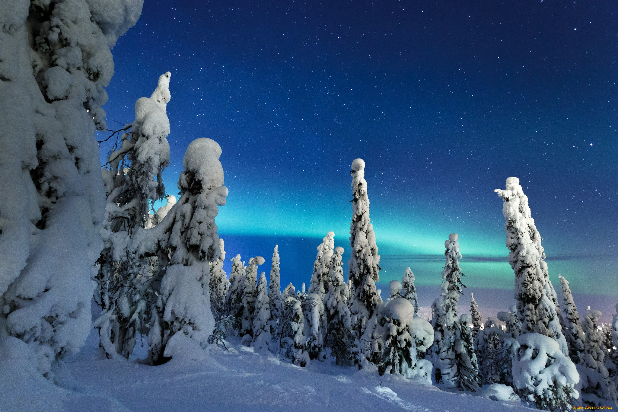 природа, зима, снег