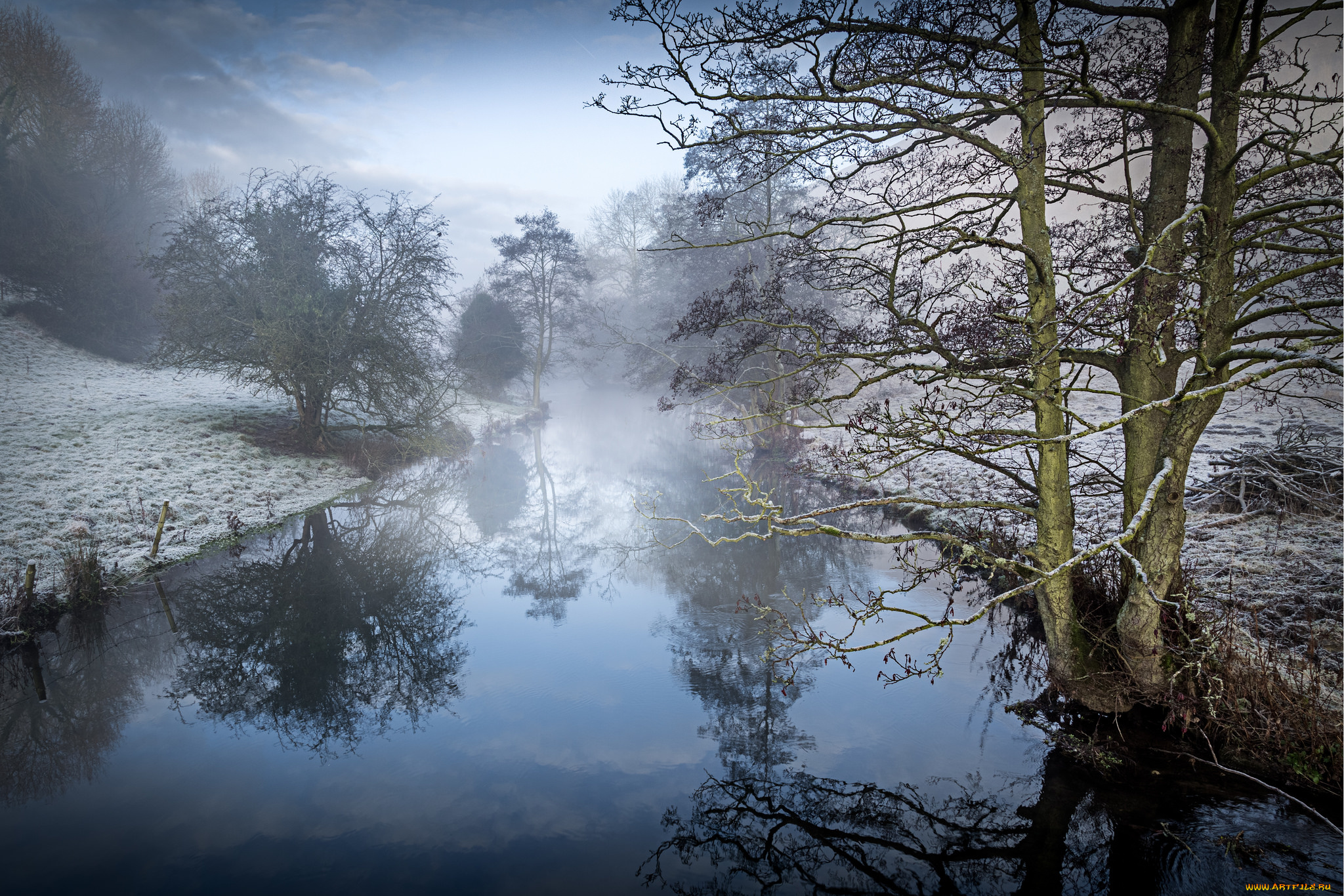 природа, реки, озера, лес, река