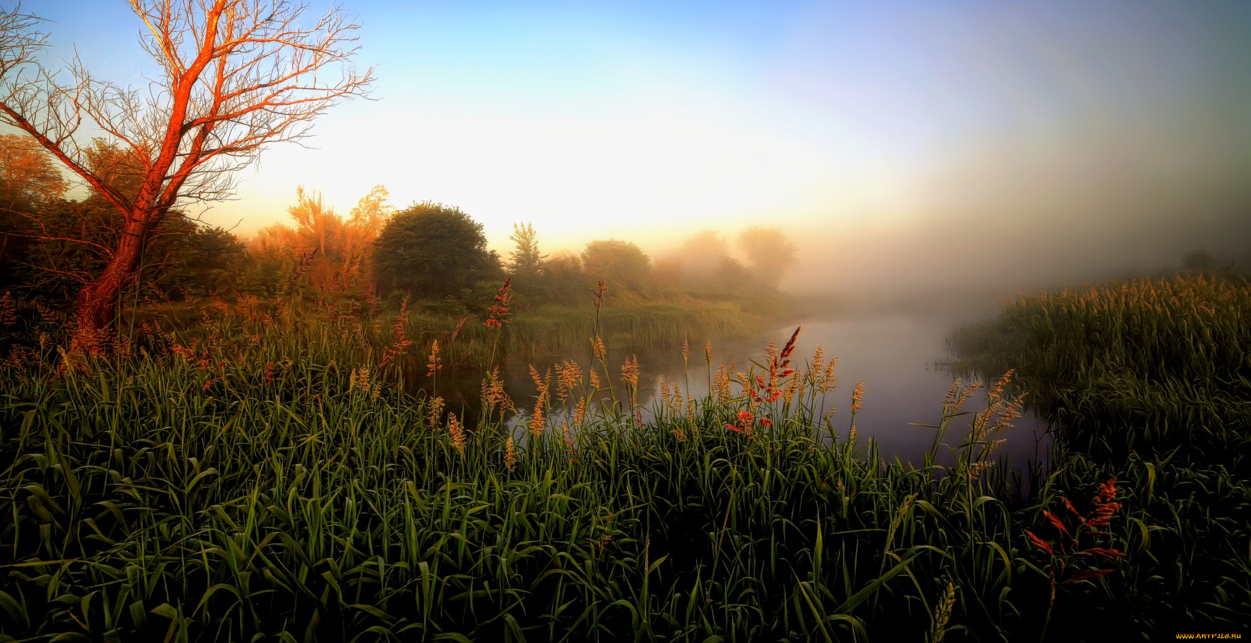 природа, реки, озера, река, лес