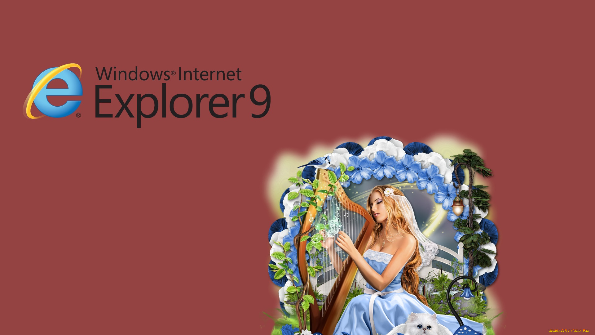 компьютеры, internet, explorer, фон, взгляд, девушки