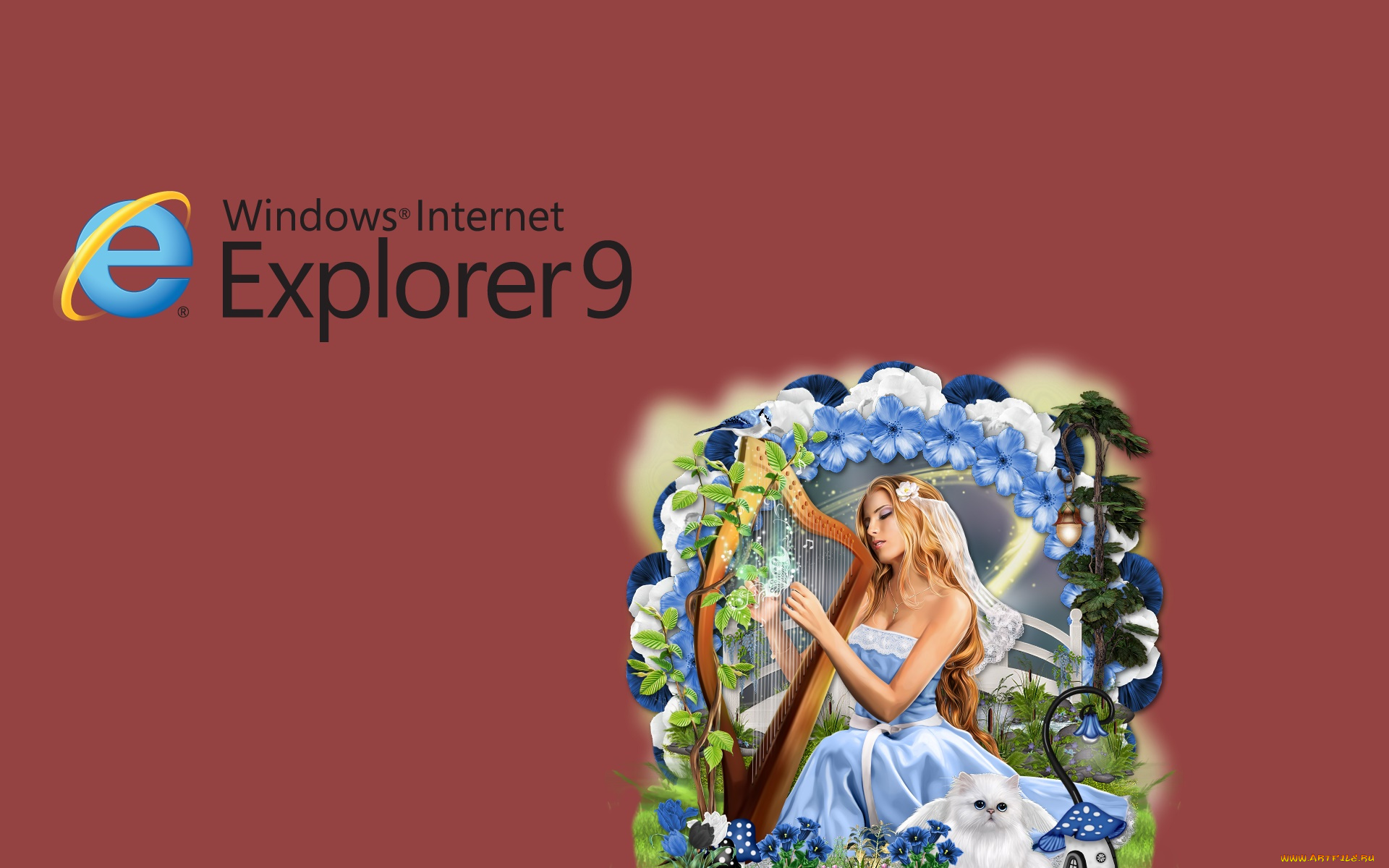 компьютеры, internet, explorer, фон, взгляд, девушки