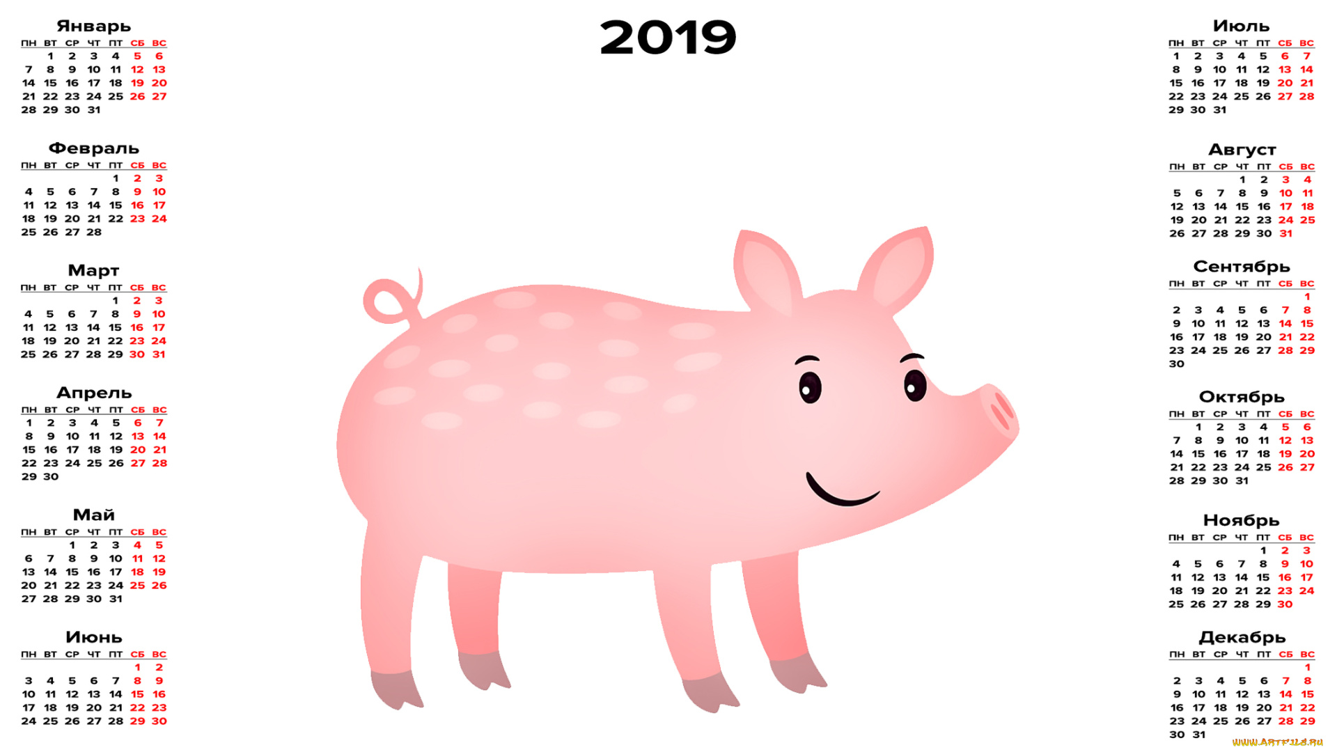 календари, рисованные, , векторная, графика, поросенок, свинья