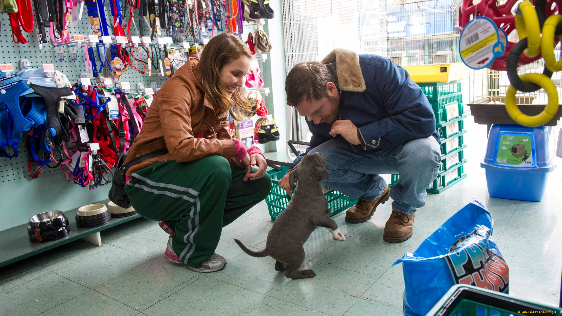 кино, фильмы, the, drop, the, drop