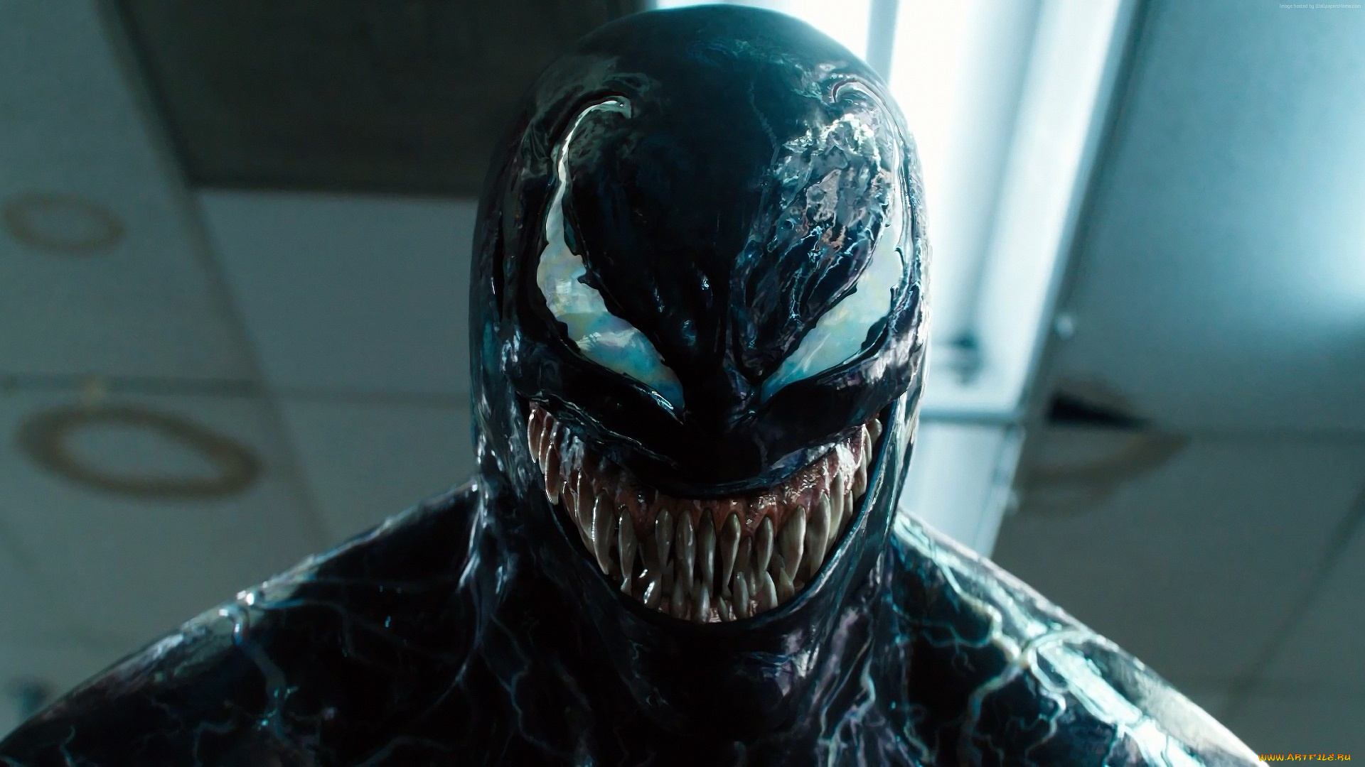 кино, фильмы, venom, веном