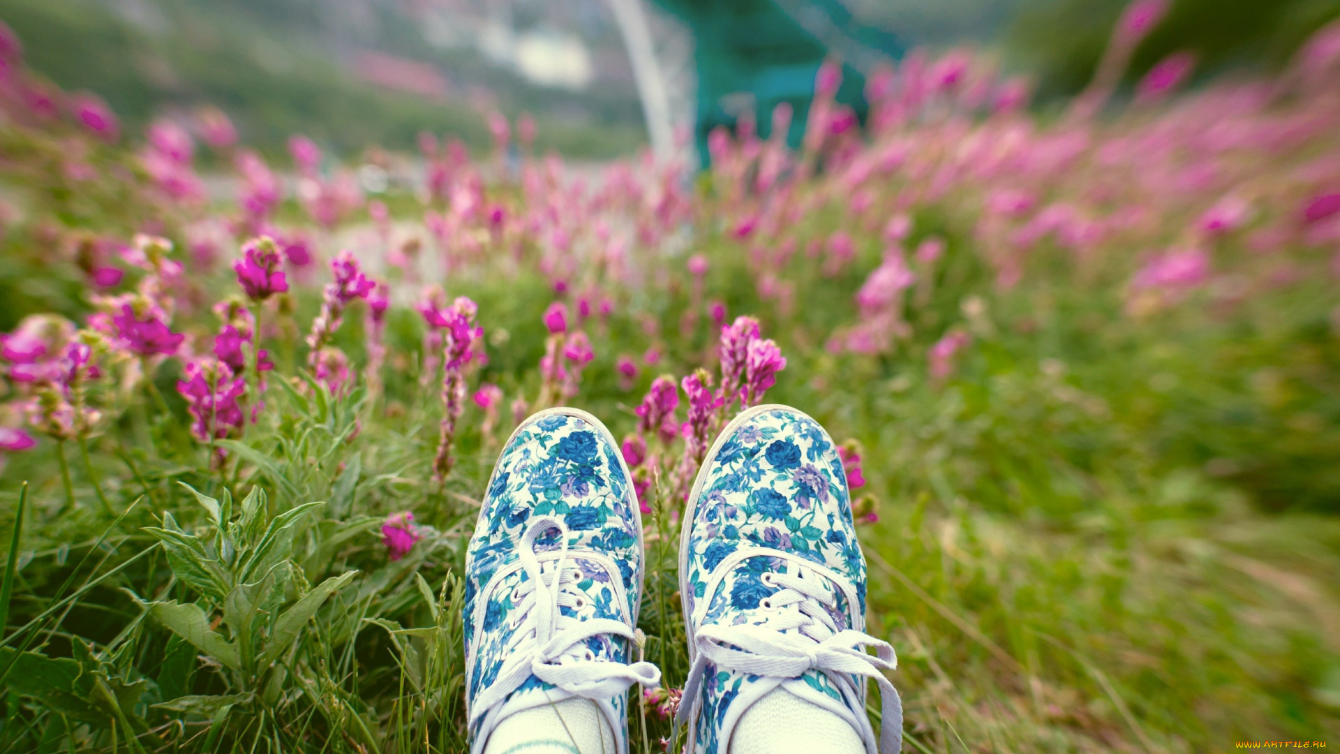 разное, одежда, , обувь, , текстиль, , экипировка, ноги, тапки, цветы, трава