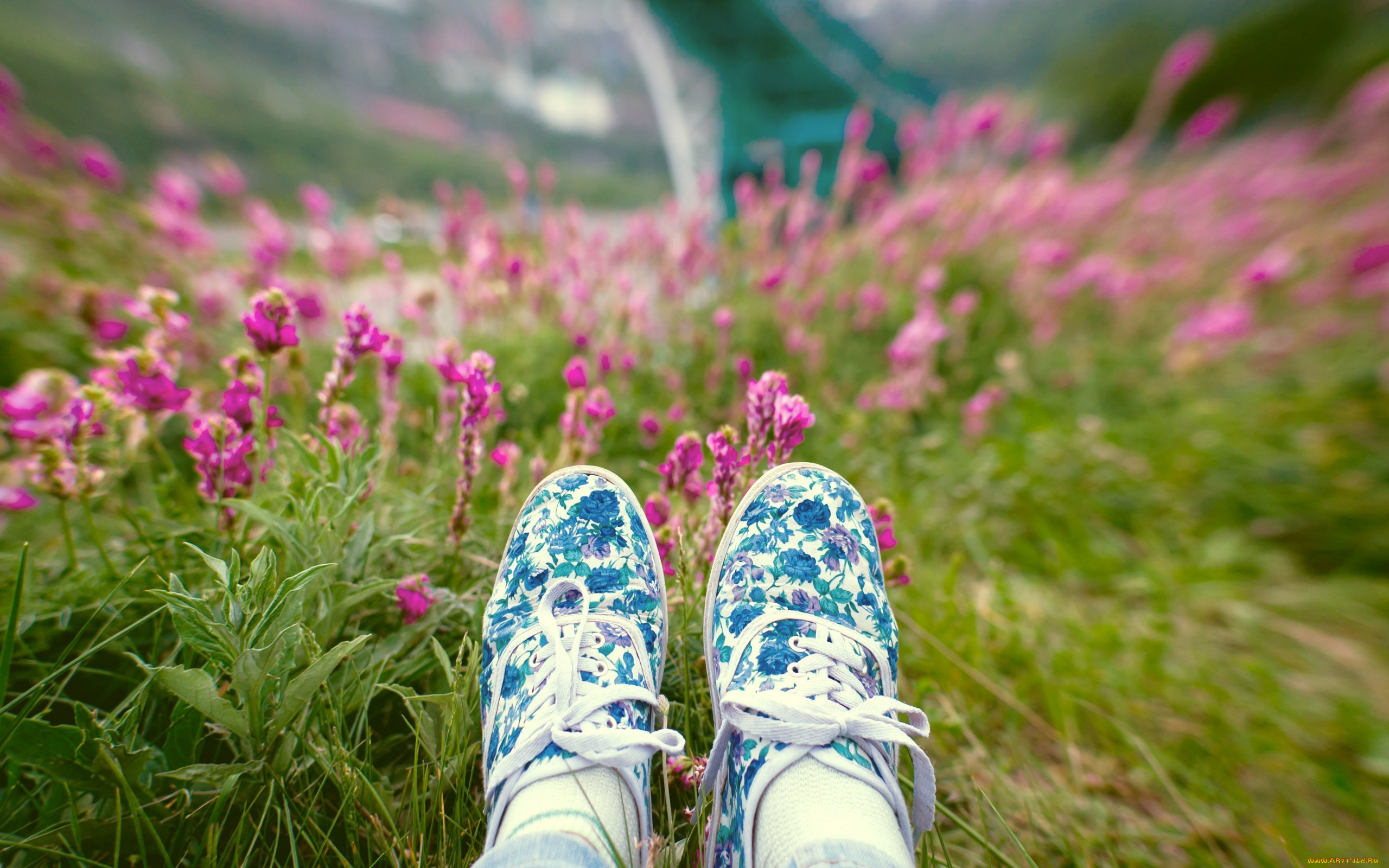 разное, одежда, , обувь, , текстиль, , экипировка, ноги, тапки, цветы, трава